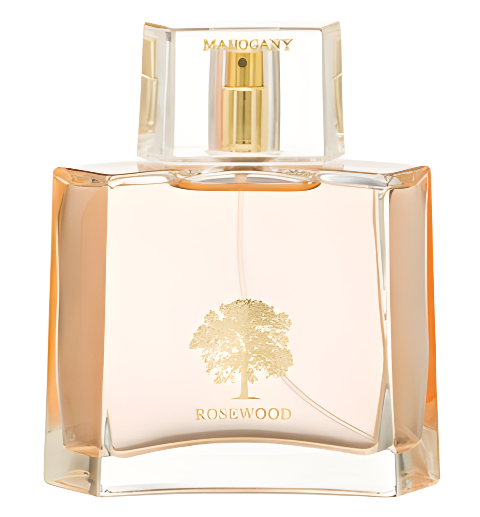 Picture of Madeiras Do Brasil fragrance