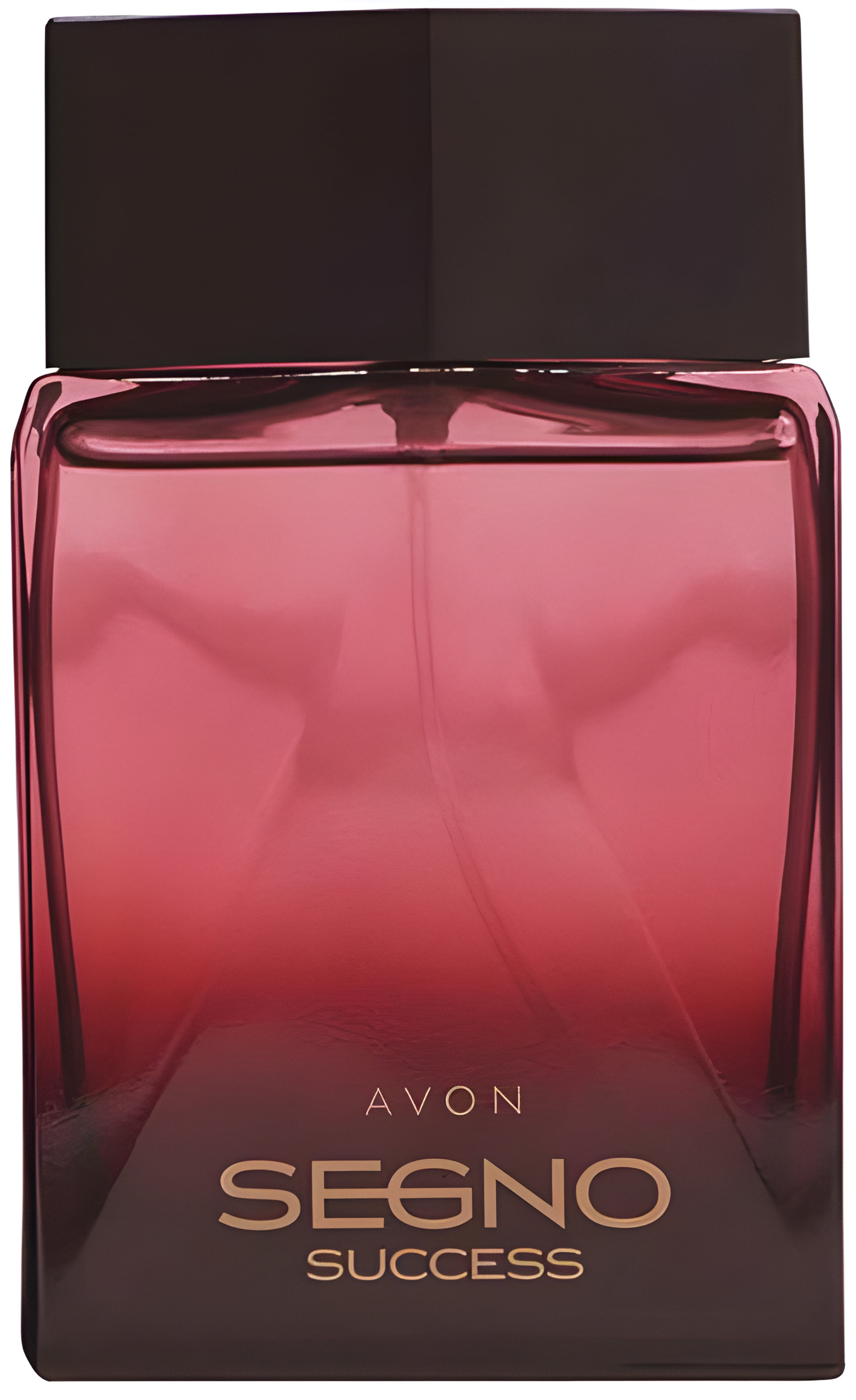 Picture of Segno Success fragrance