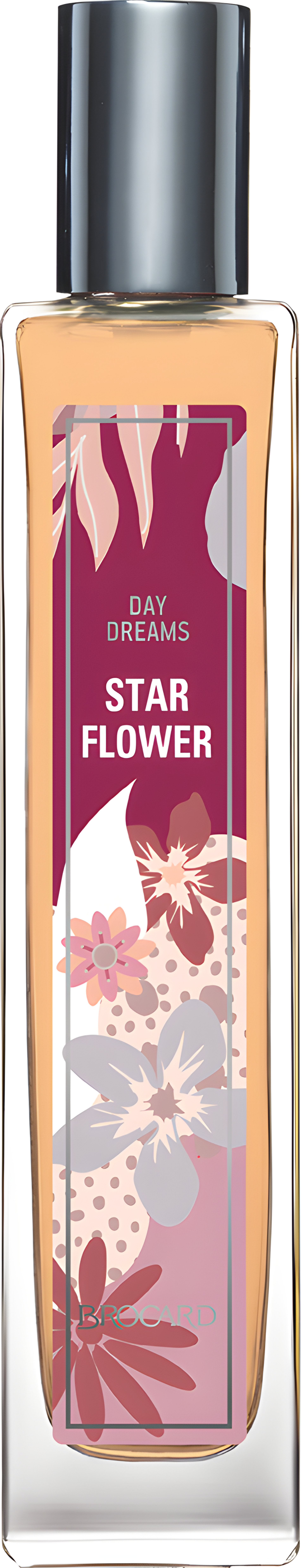 Picture of Star Flower fragrance
