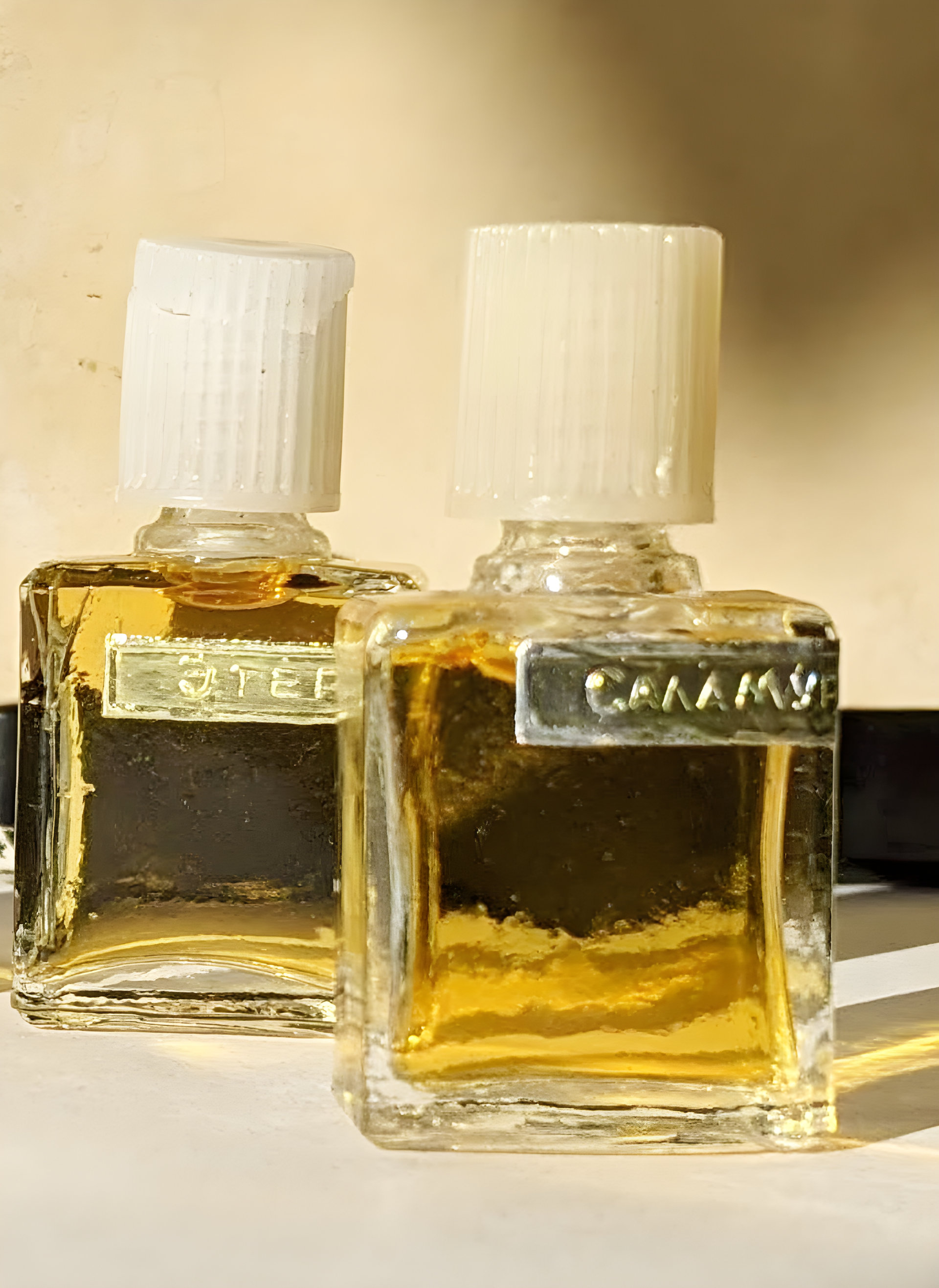 Picture of Salamuri - Саламури fragrance