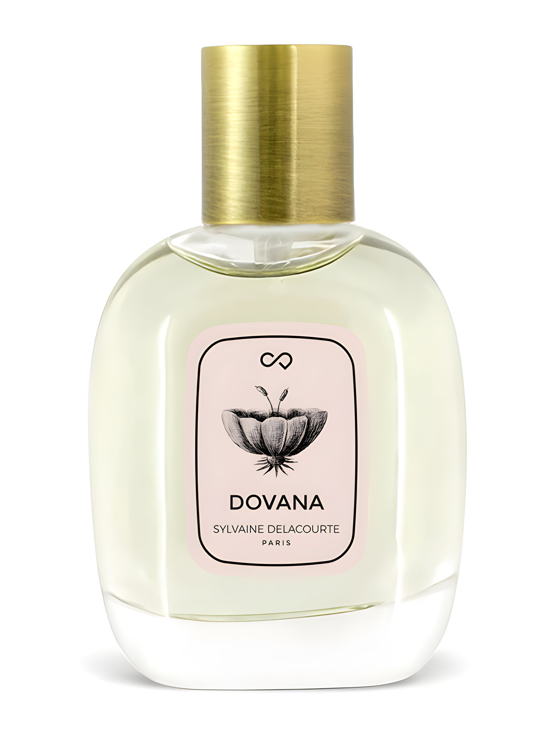 Picture of Dovana fragrance