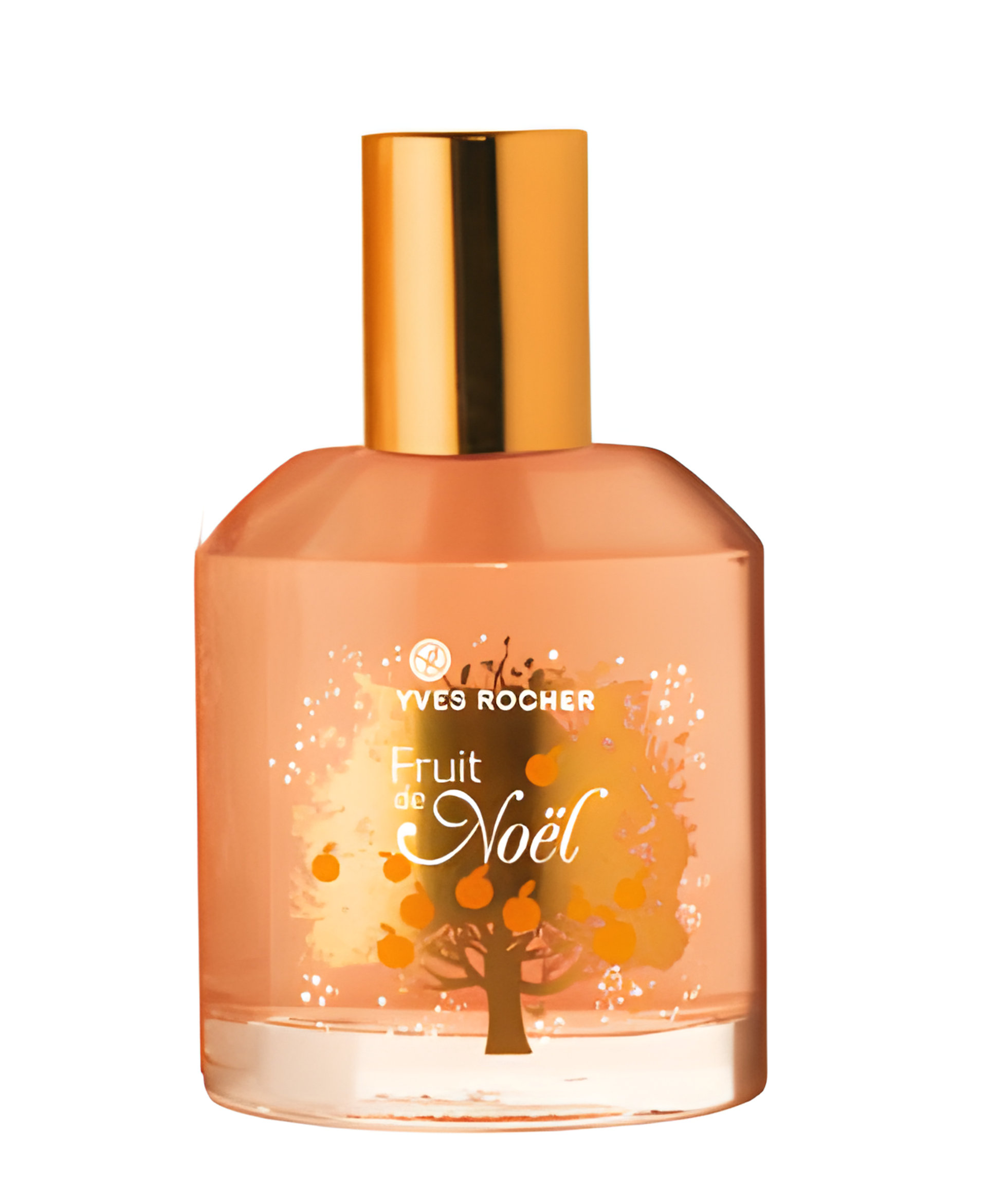 Picture of Fruit de Noel fragrance