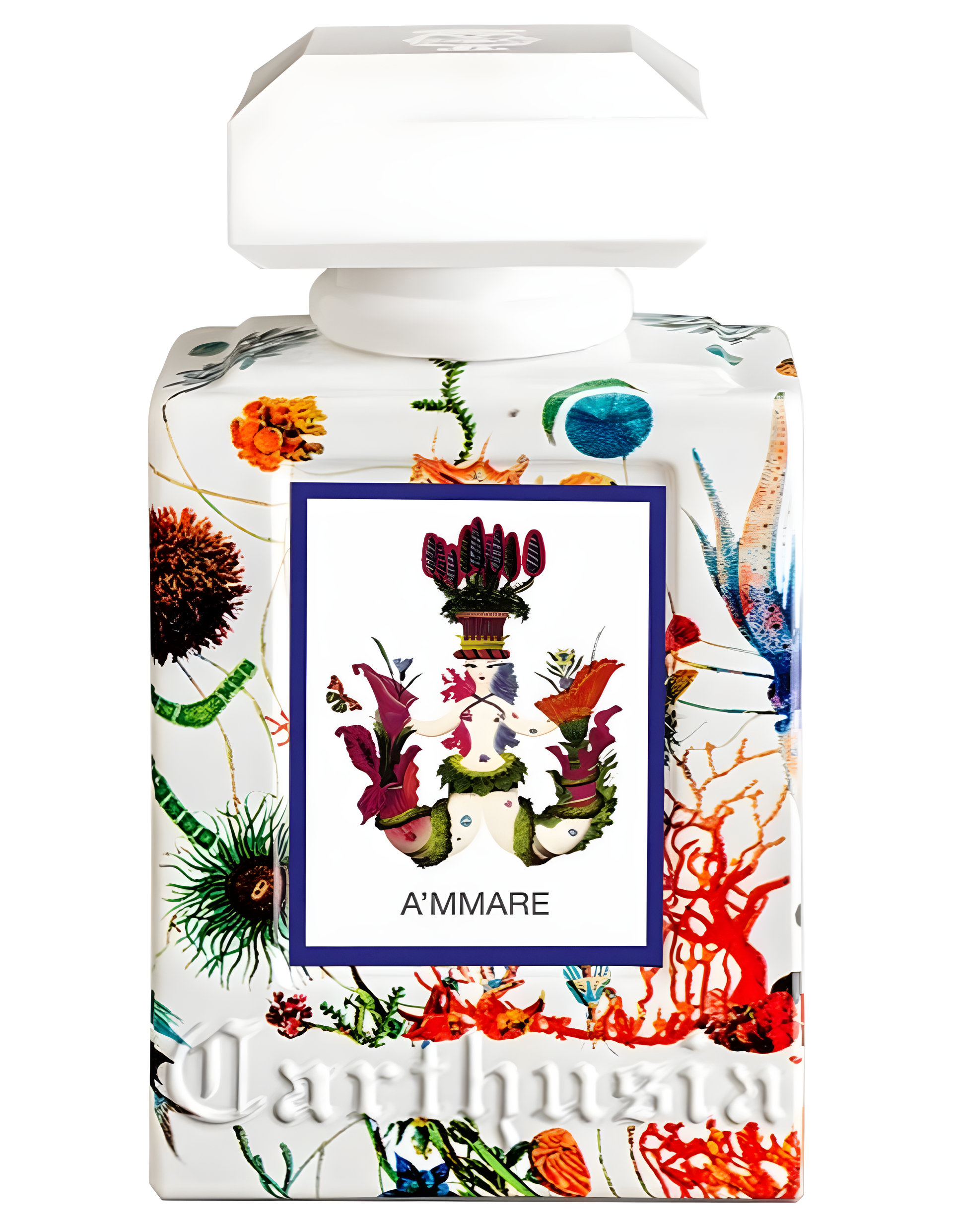 Picture of A'mmare fragrance