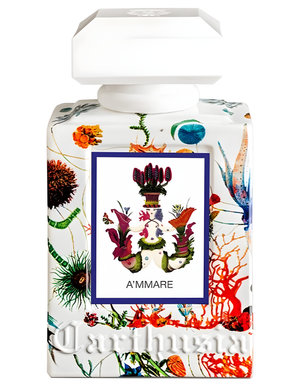 A'mmare by Carthusia perfume bottle