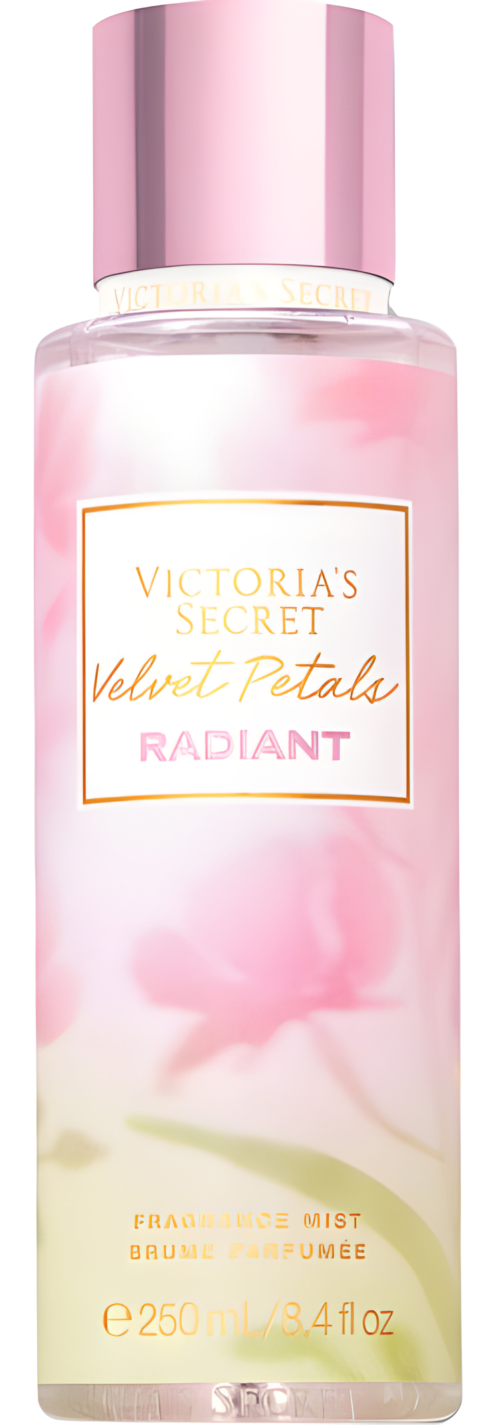 Velvet Petals Radiant by Victoria's Secret