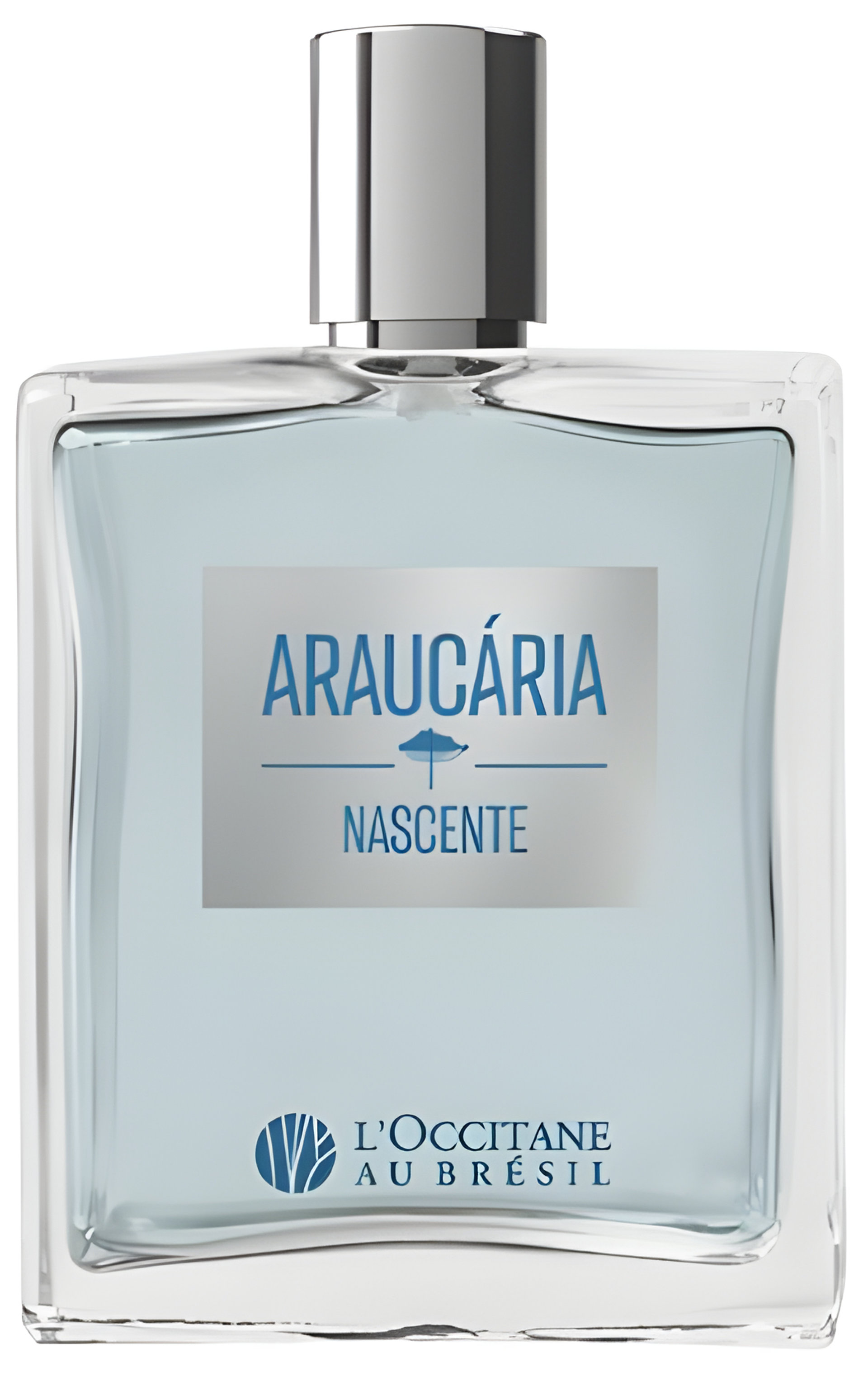 Araucária Nascente by L’Occitane Au Brésil perfume bottle