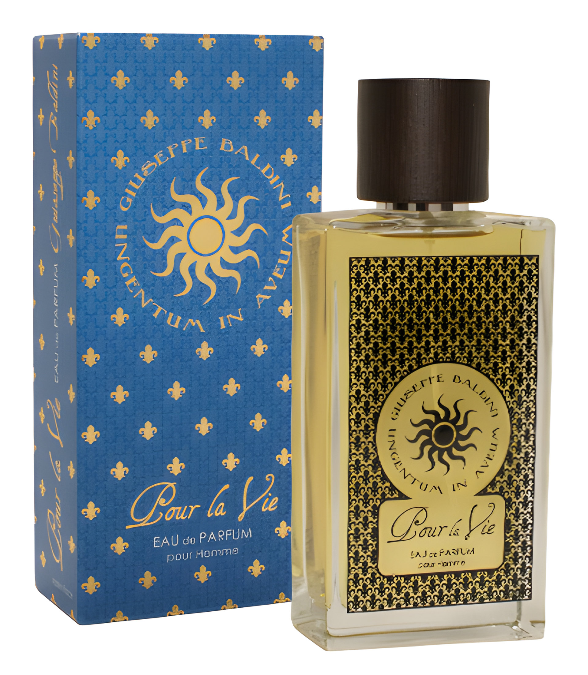 Picture of Pour La Vie fragrance