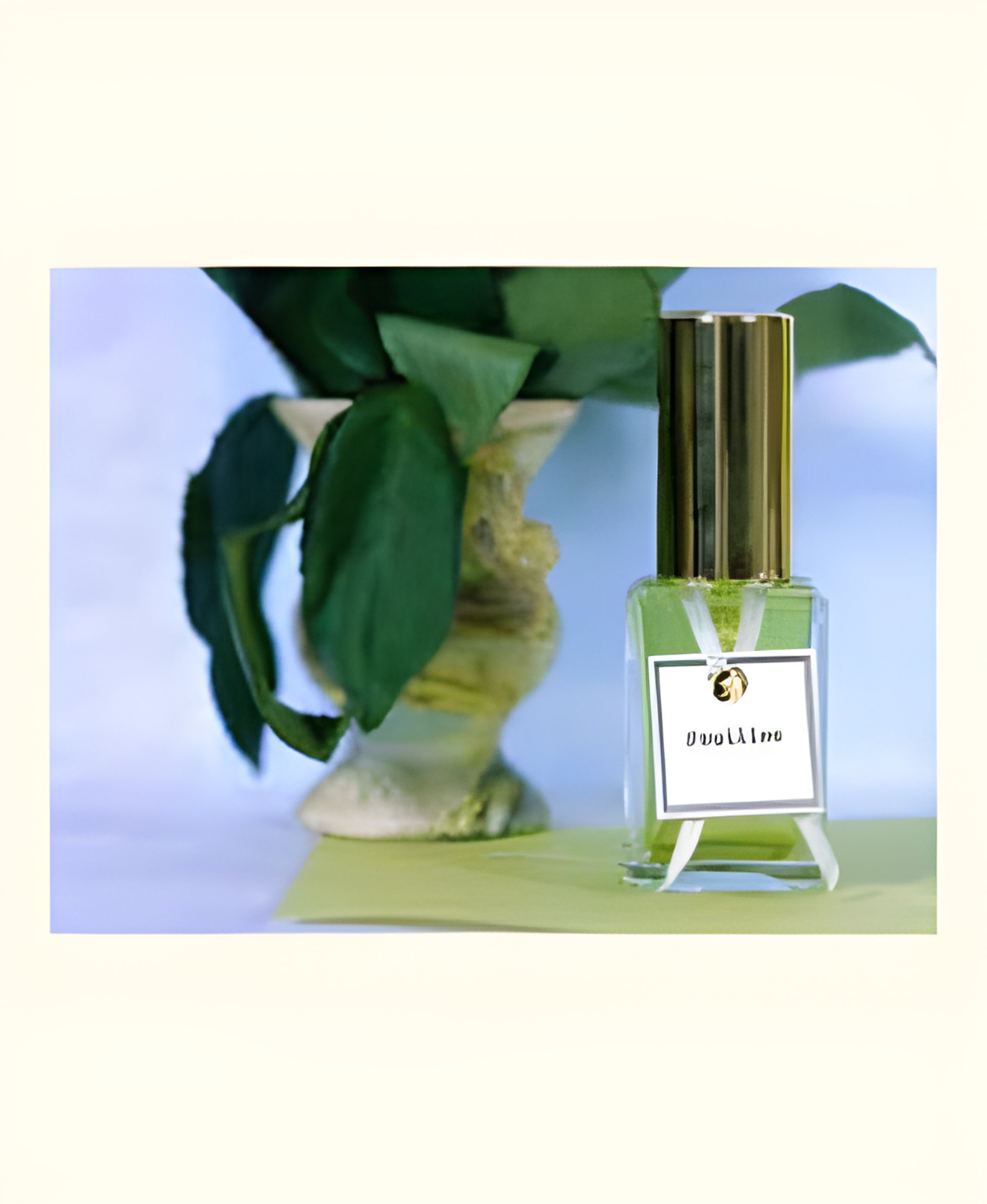 Picture of Feuilles Vertes (Green Leaves) fragrance