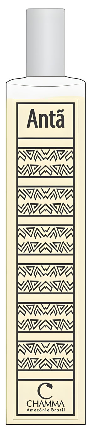 Antã by Chamma da Amazônia perfume bottle