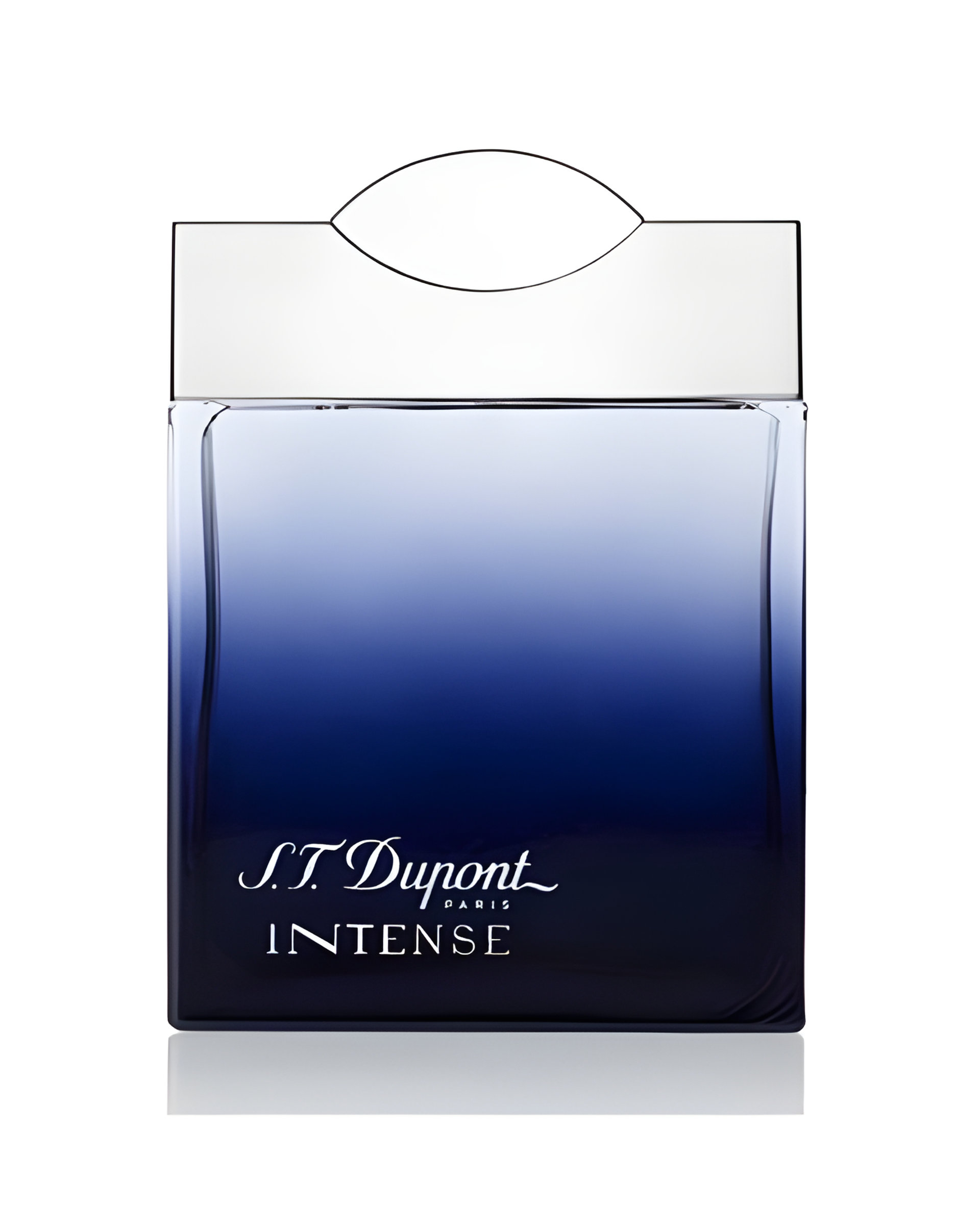 Picture of S.T. Dupont Intense Pour Homme fragrance