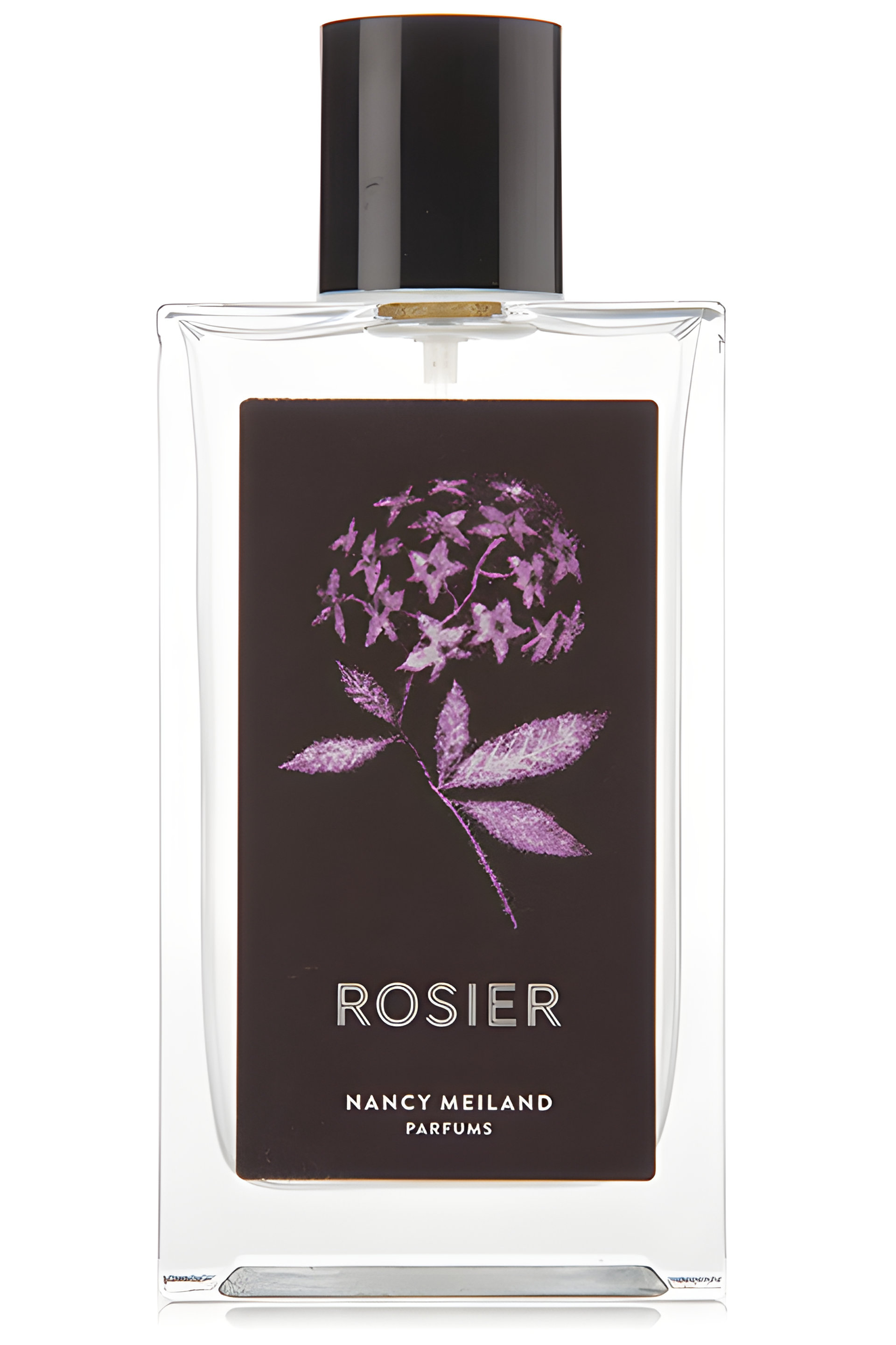 Picture of Rosier fragrance