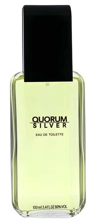 Quorum Silver by Antonio Puig perfume bottle