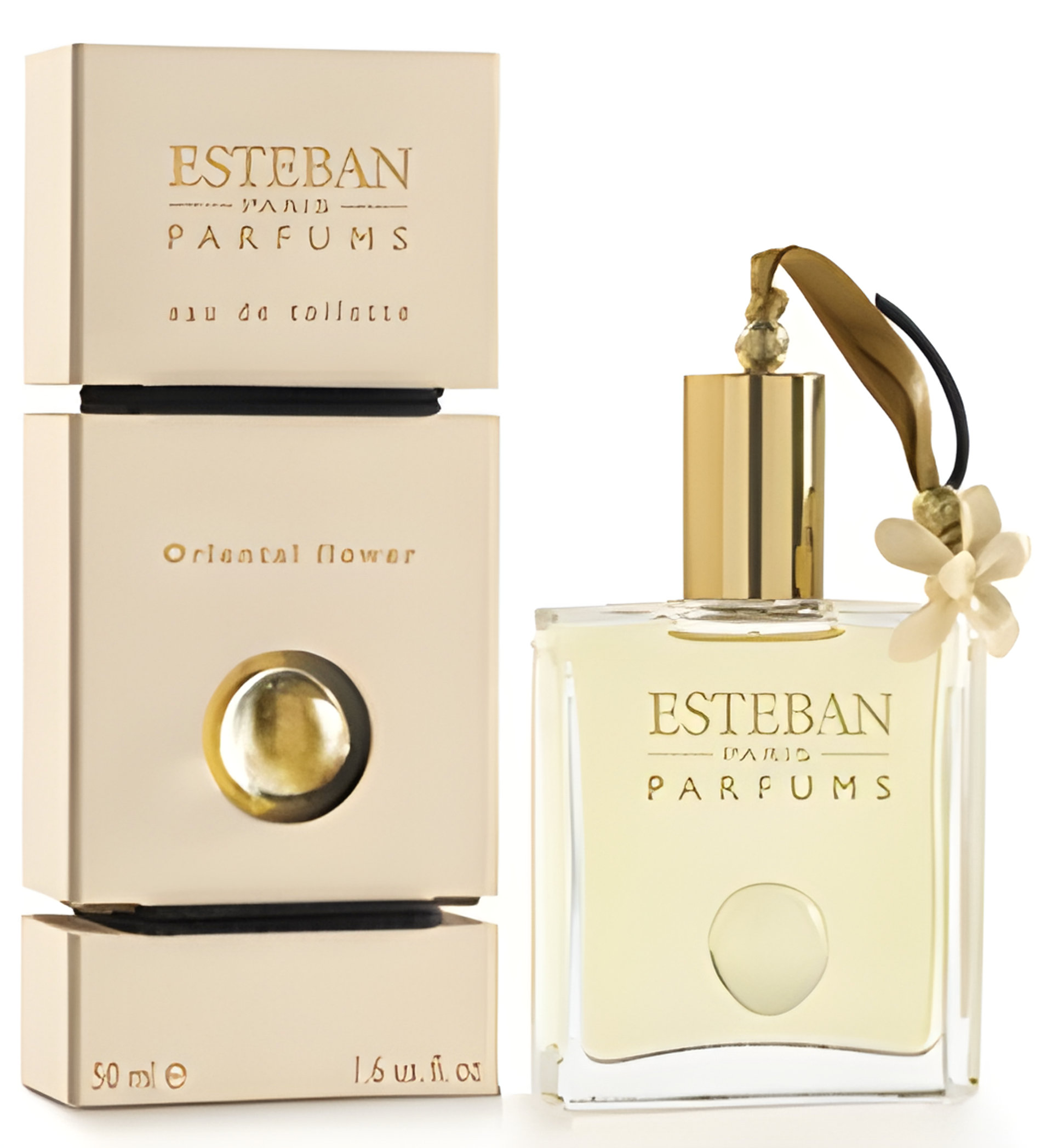 Oriental Flower by Esteban