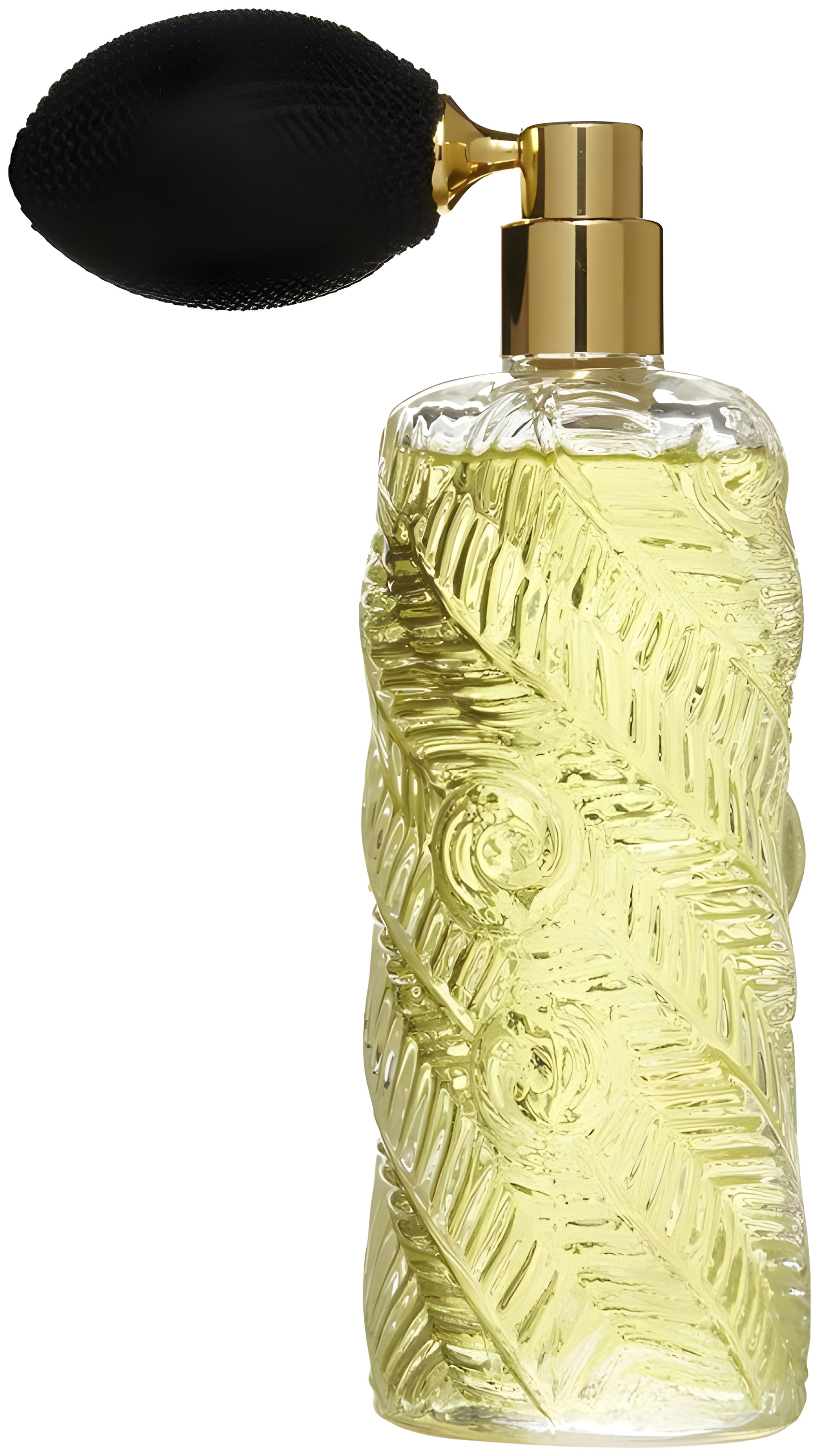 Picture of Essences Insensees fragrance