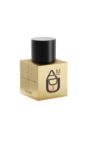 Picture of Elevato Al Cubo fragrance