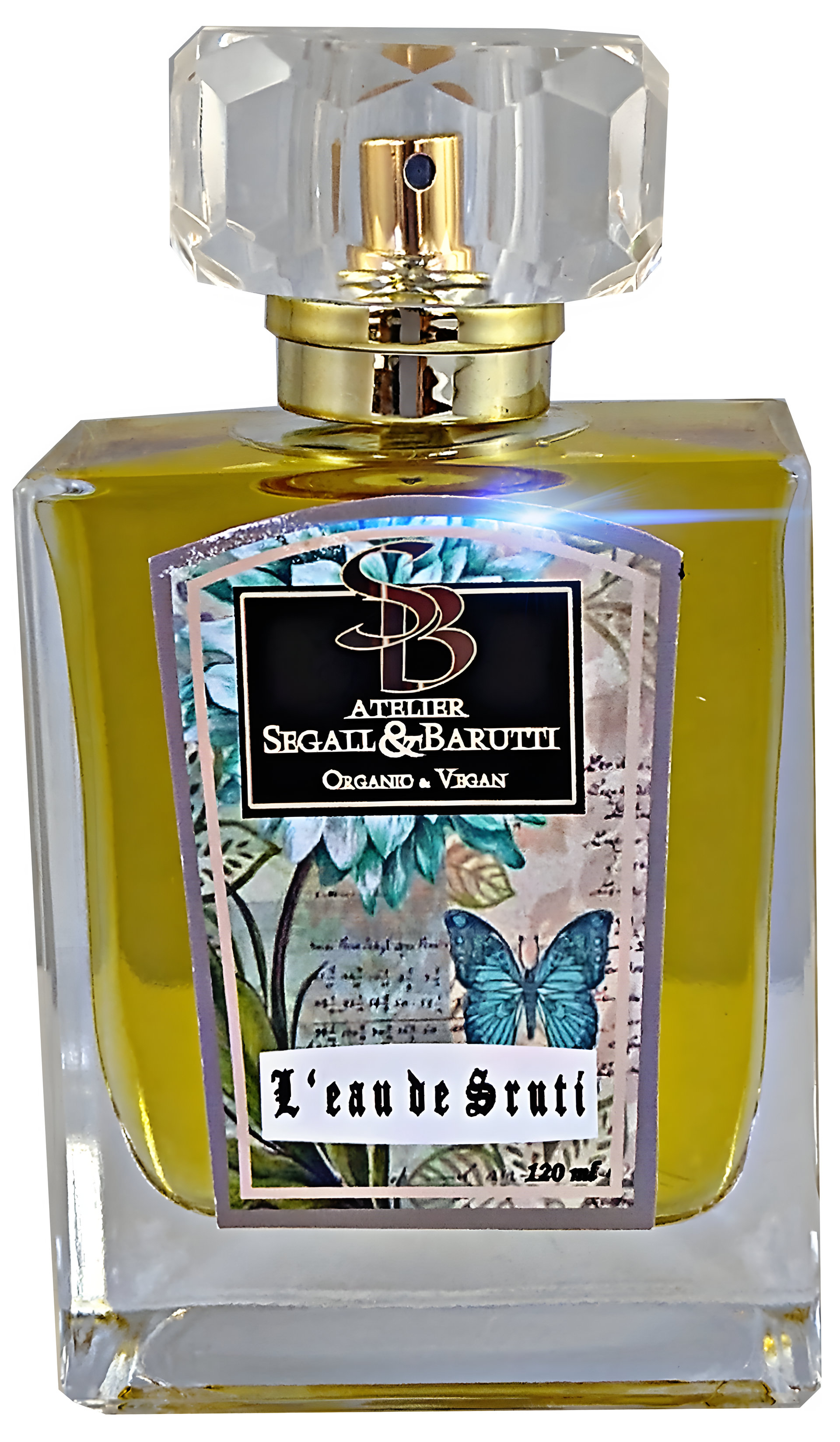 L'eau de Sruti by Atelier Segall & Barutti