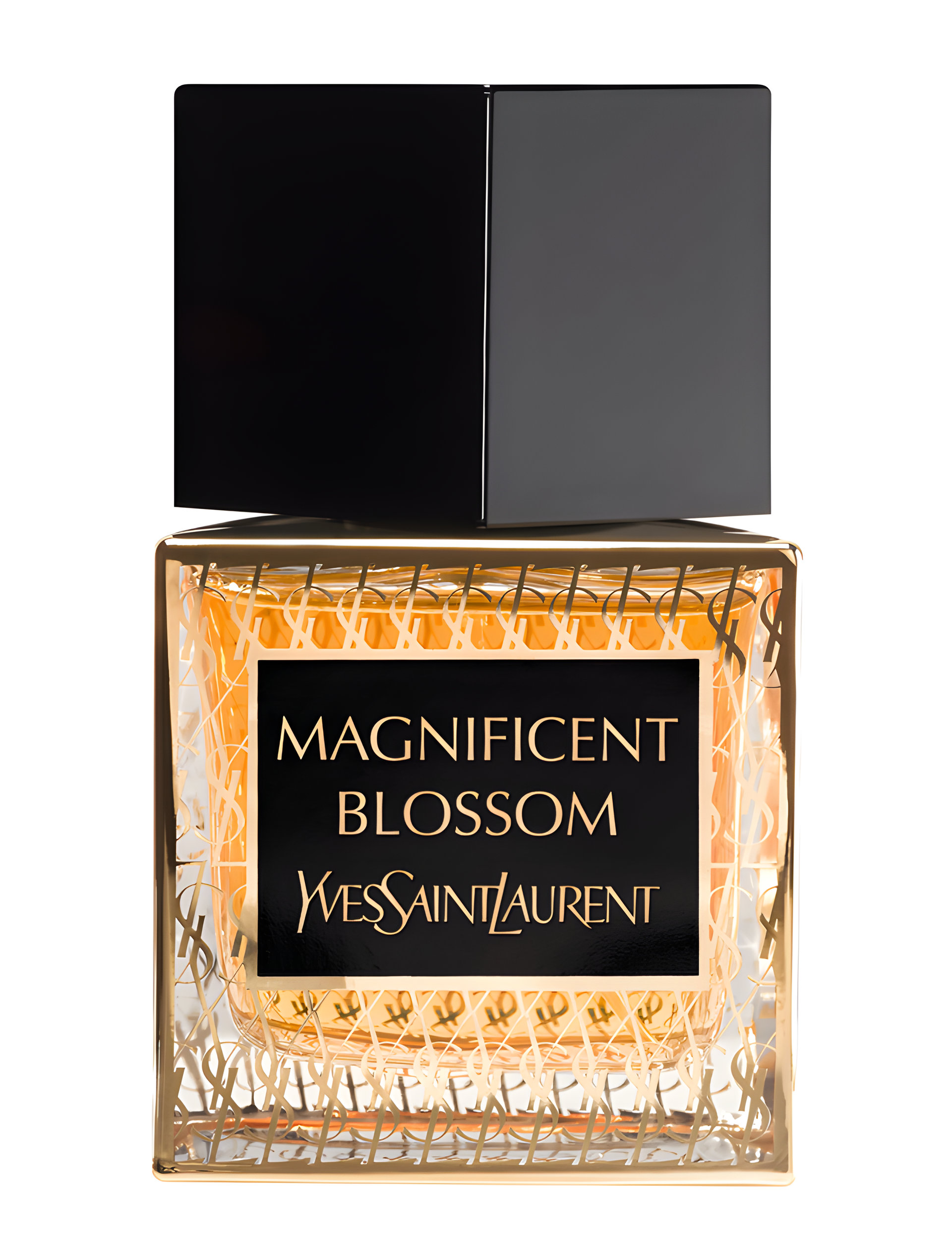 Picture of Magnificent Blossom fragrance