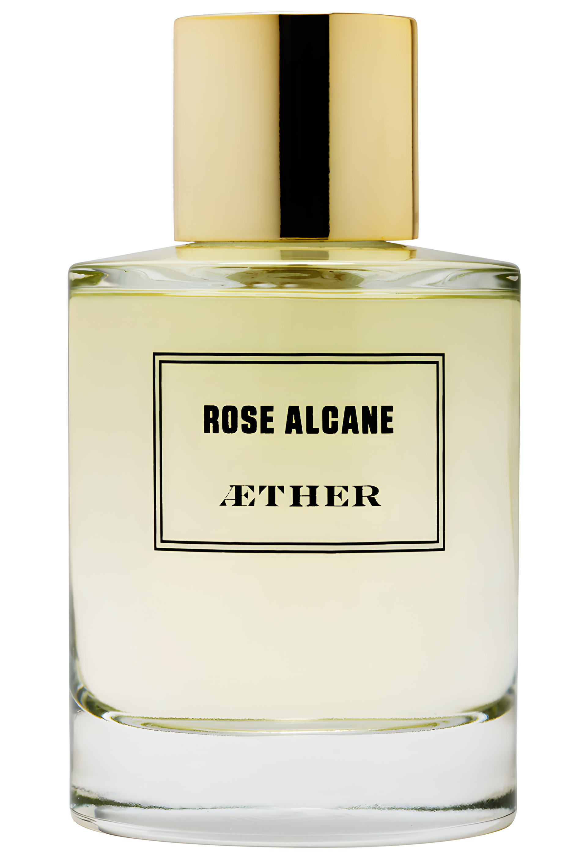 Picture of Rose Alcane fragrance