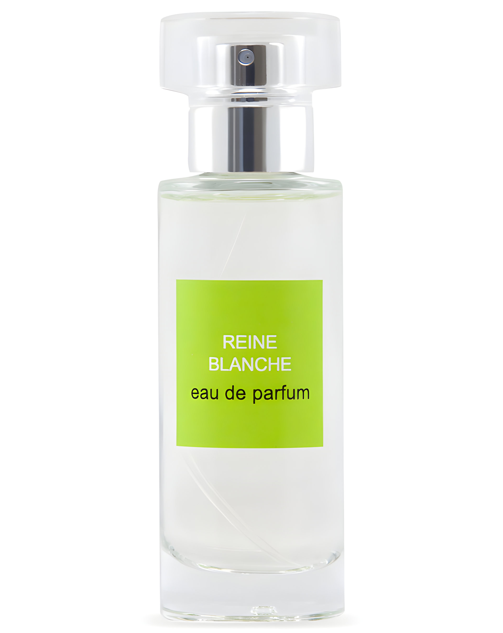 Picture of Reine Blanche fragrance