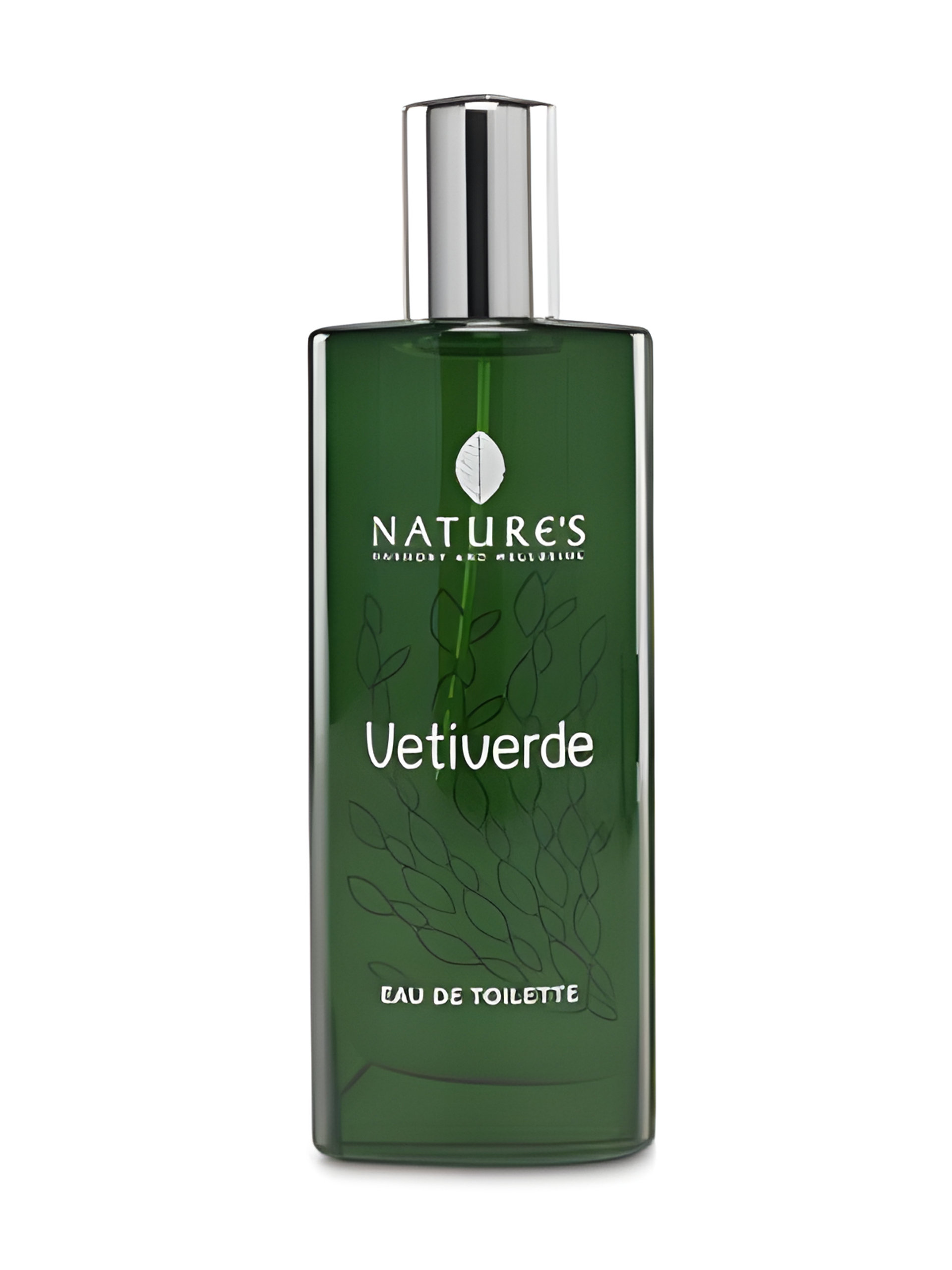 Picture of Vetiverde fragrance