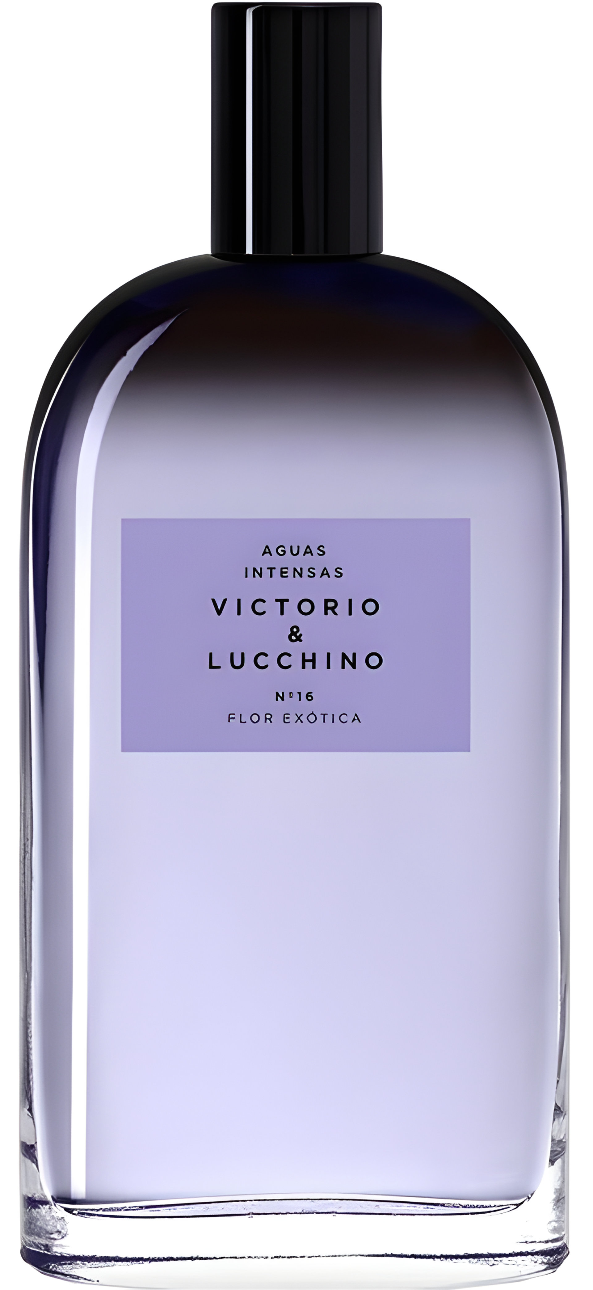 N° 16 Flor Exótica by Victorio & Lucchino