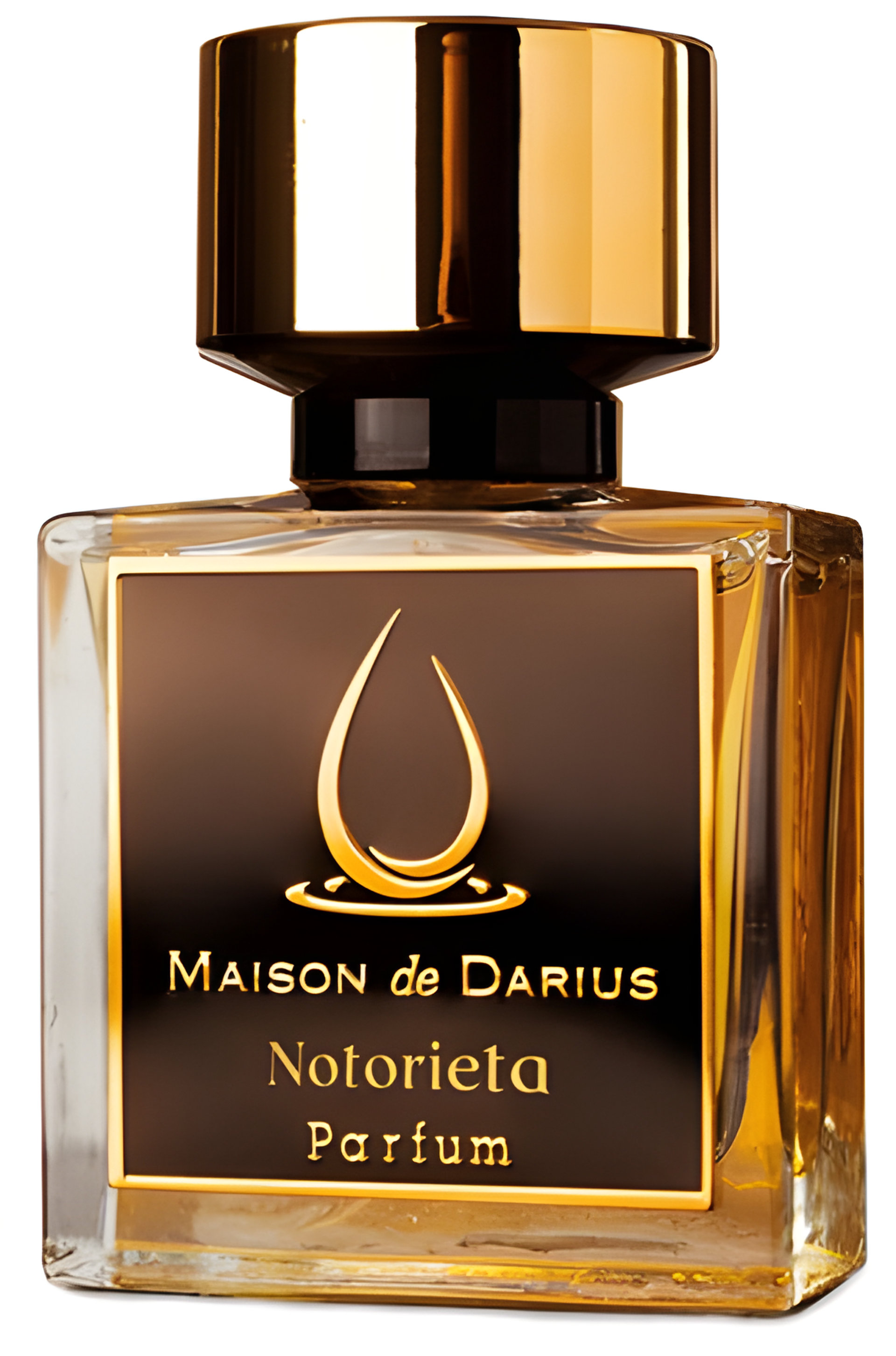 Picture of Notorieta fragrance