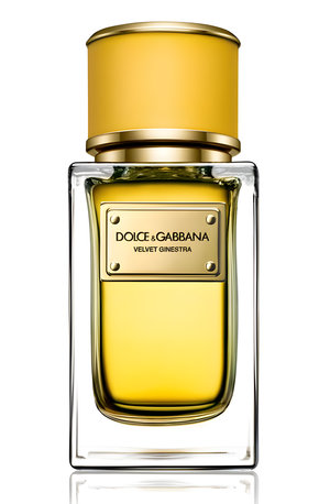 Velvet Ginestra by Dolce&Gabbana perfume bottle