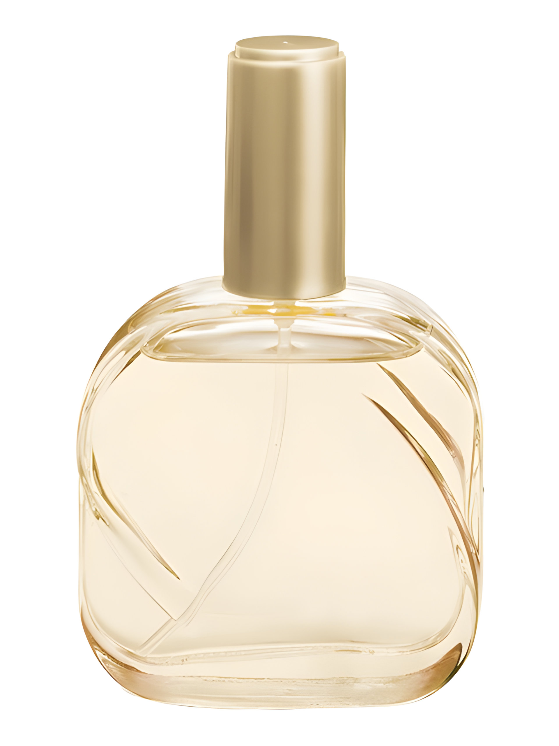 Picture of Forest Interlude Classic fragrance