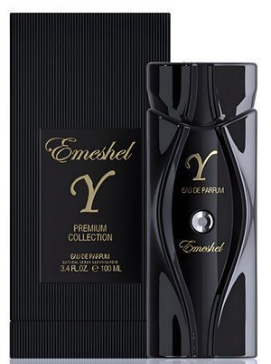 Emeshel Y by Emeshel perfume bottle