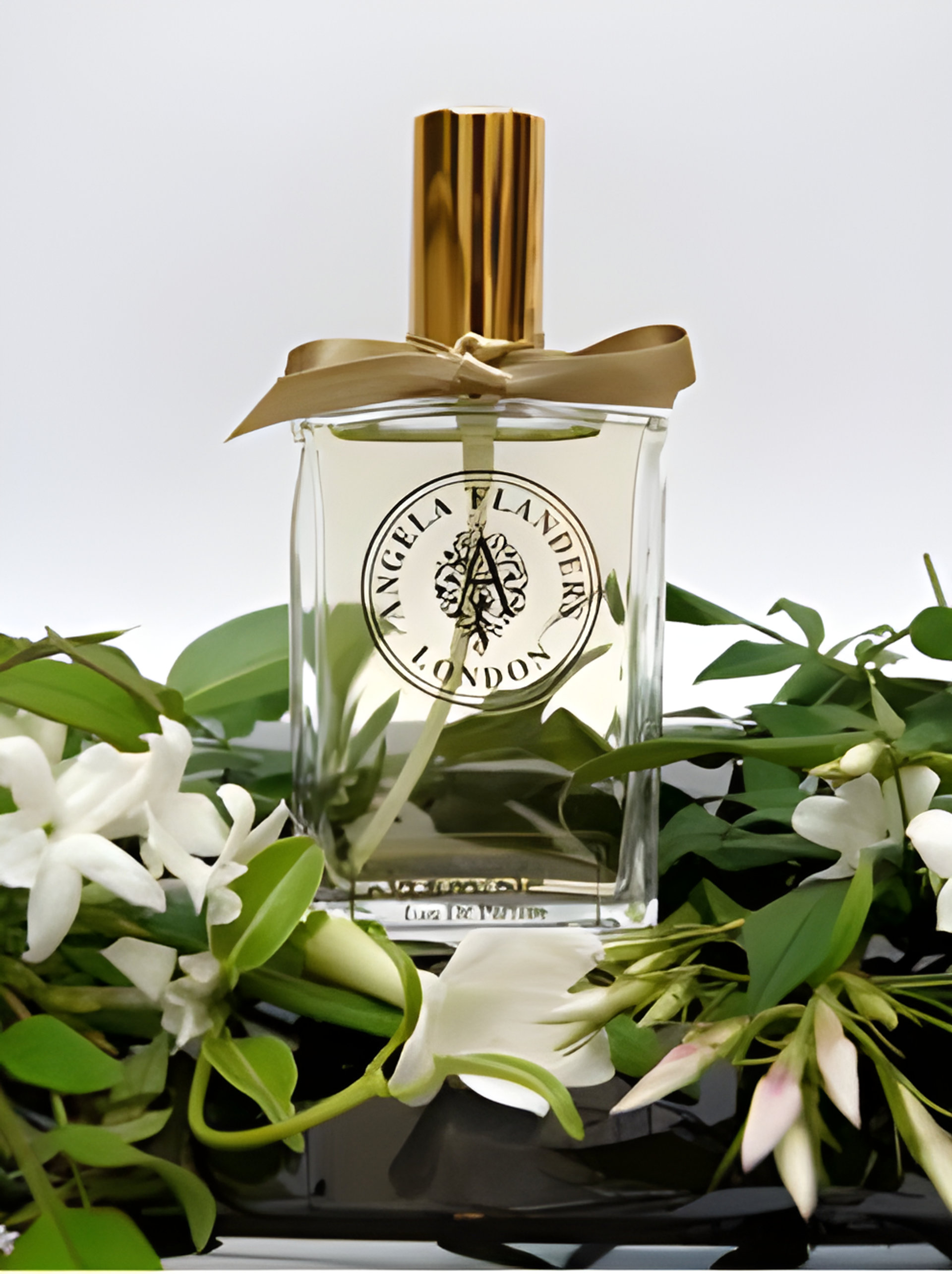 Picture of Jasmine fragrance
