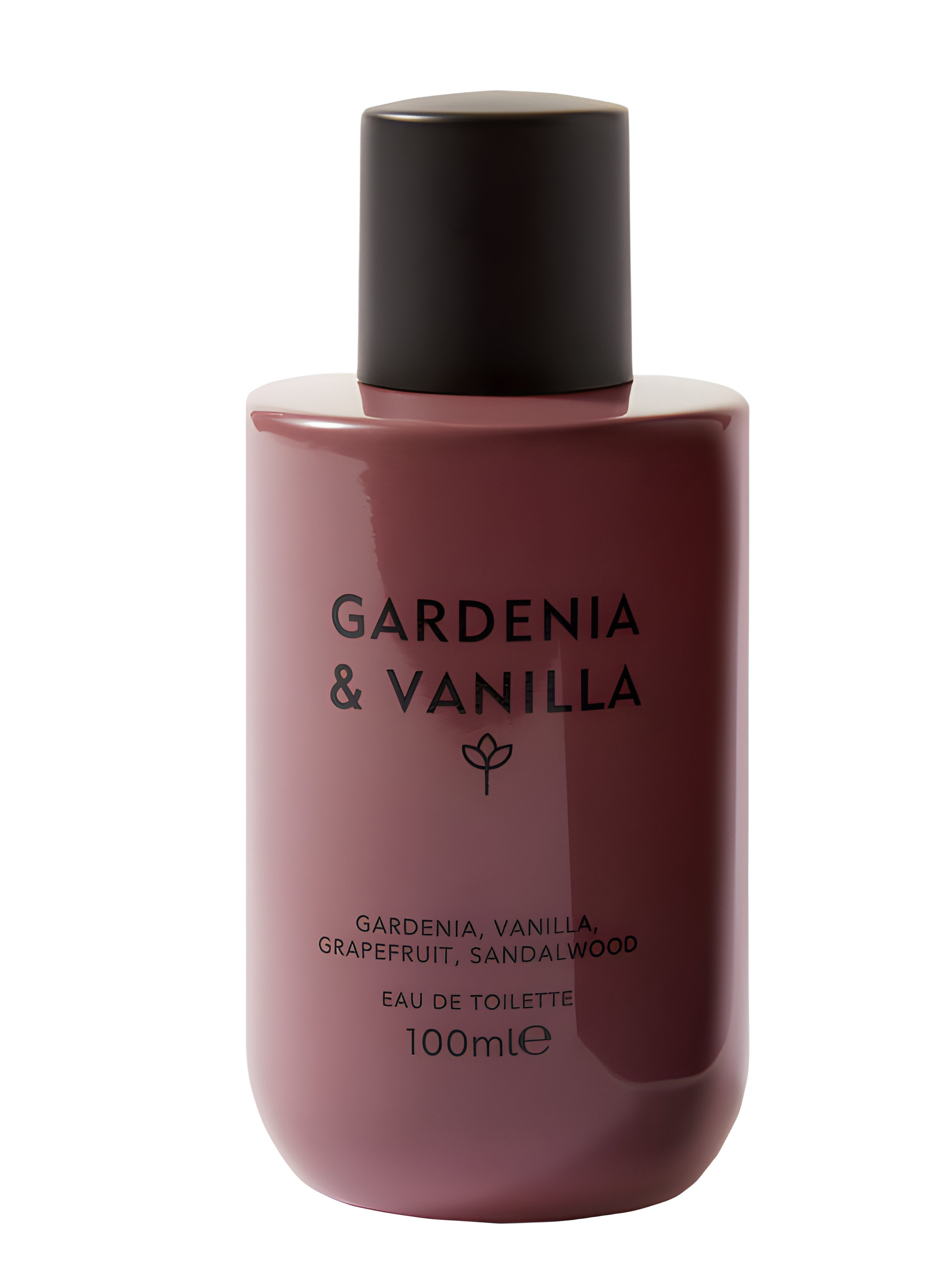 Picture of Gardenia & Vanilla fragrance