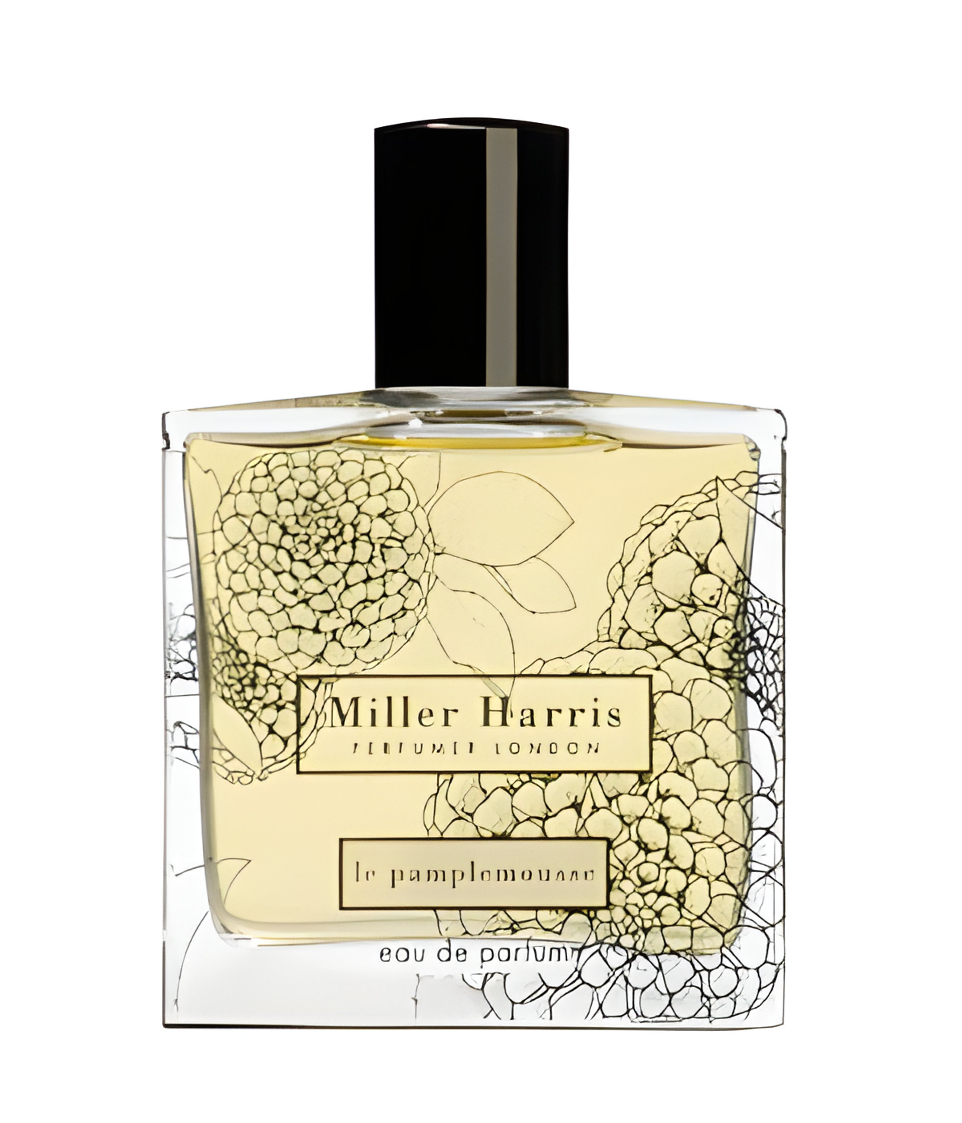 Picture of Le Pamplemousse fragrance