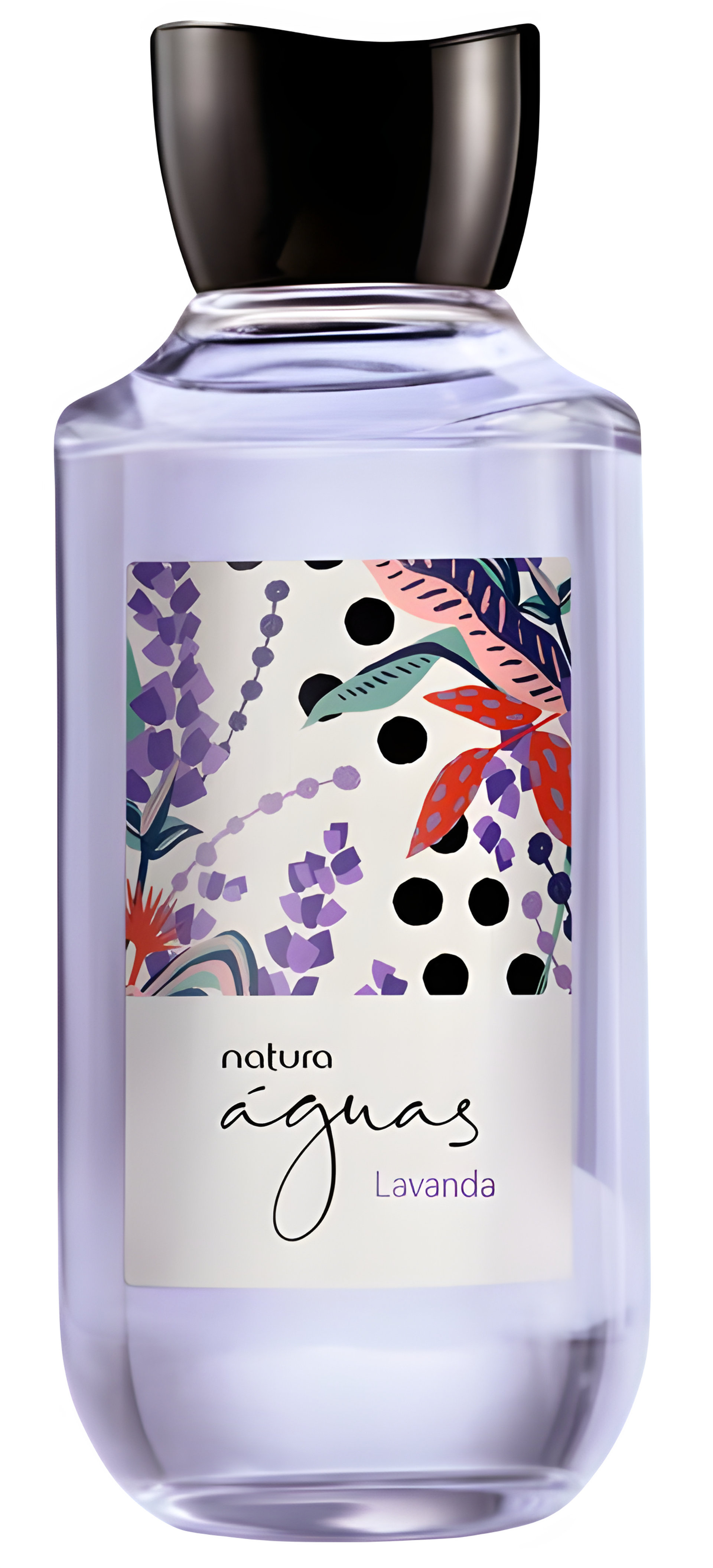 Picture of Lavanda fragrance