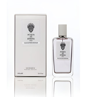 Calycanthus Brumae by Acqua di Stresa perfume bottle