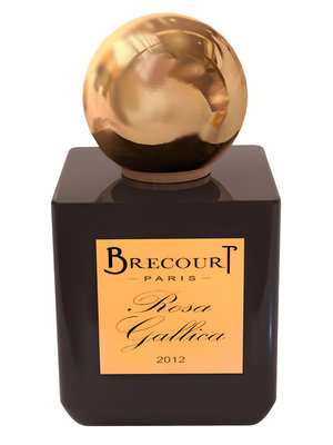 Rosa Gallica by Brecourt perfume bottle
