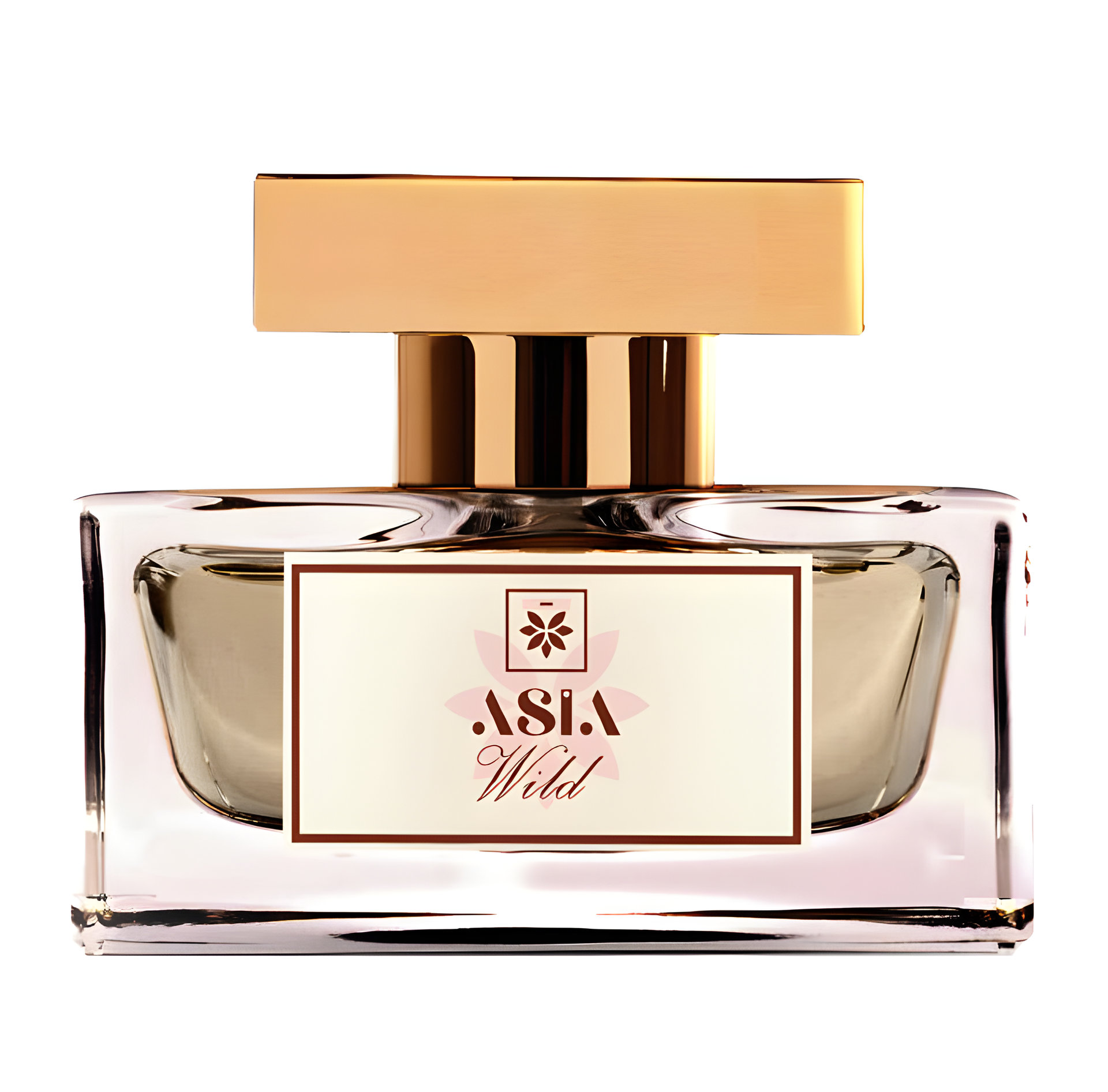 Wild by Asia Perfumes
