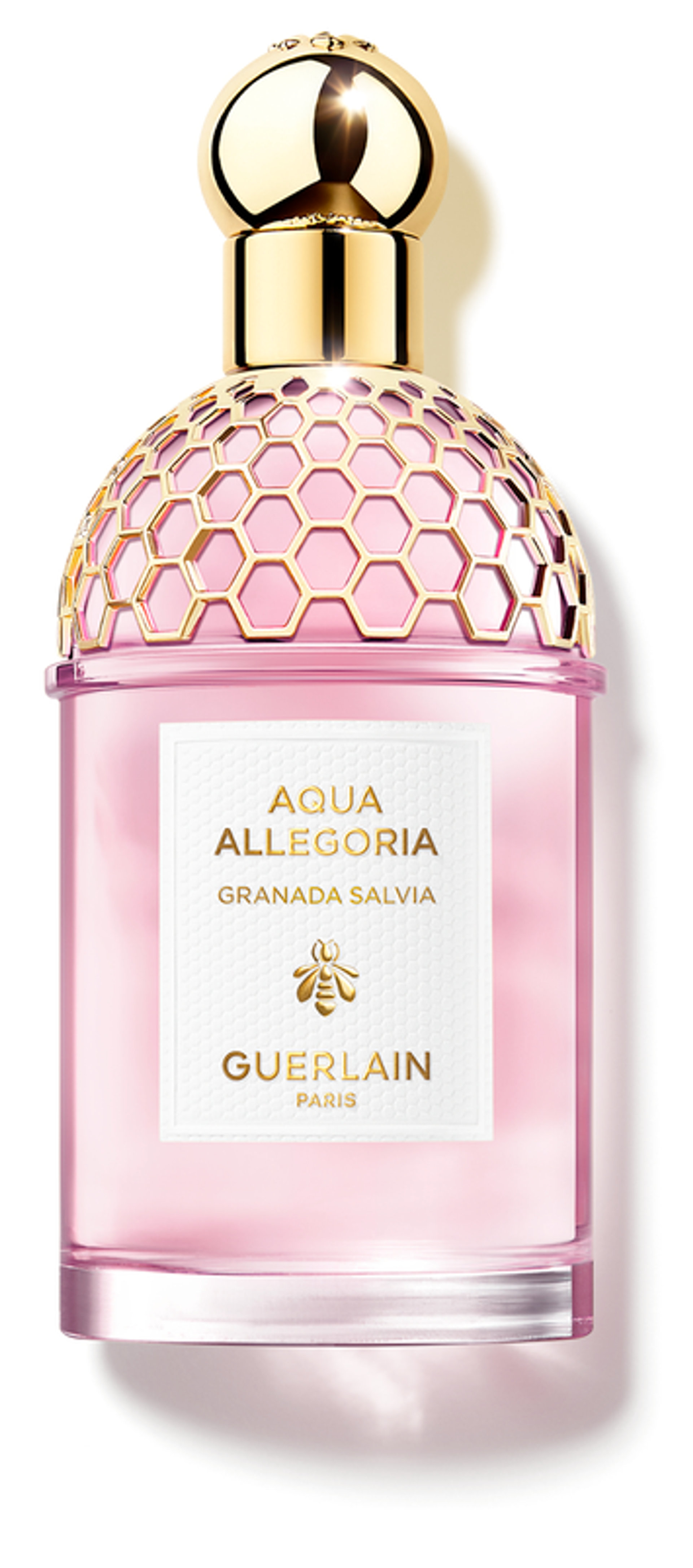 Picture of Aqua Allegoria Granada Salvia fragrance
