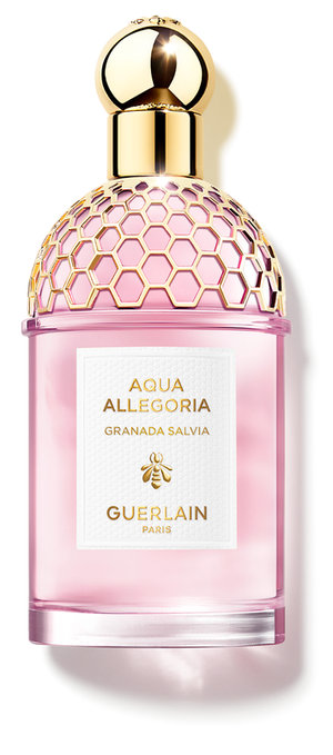 Picture of Aqua Allegoria Granada Salvia fragrance