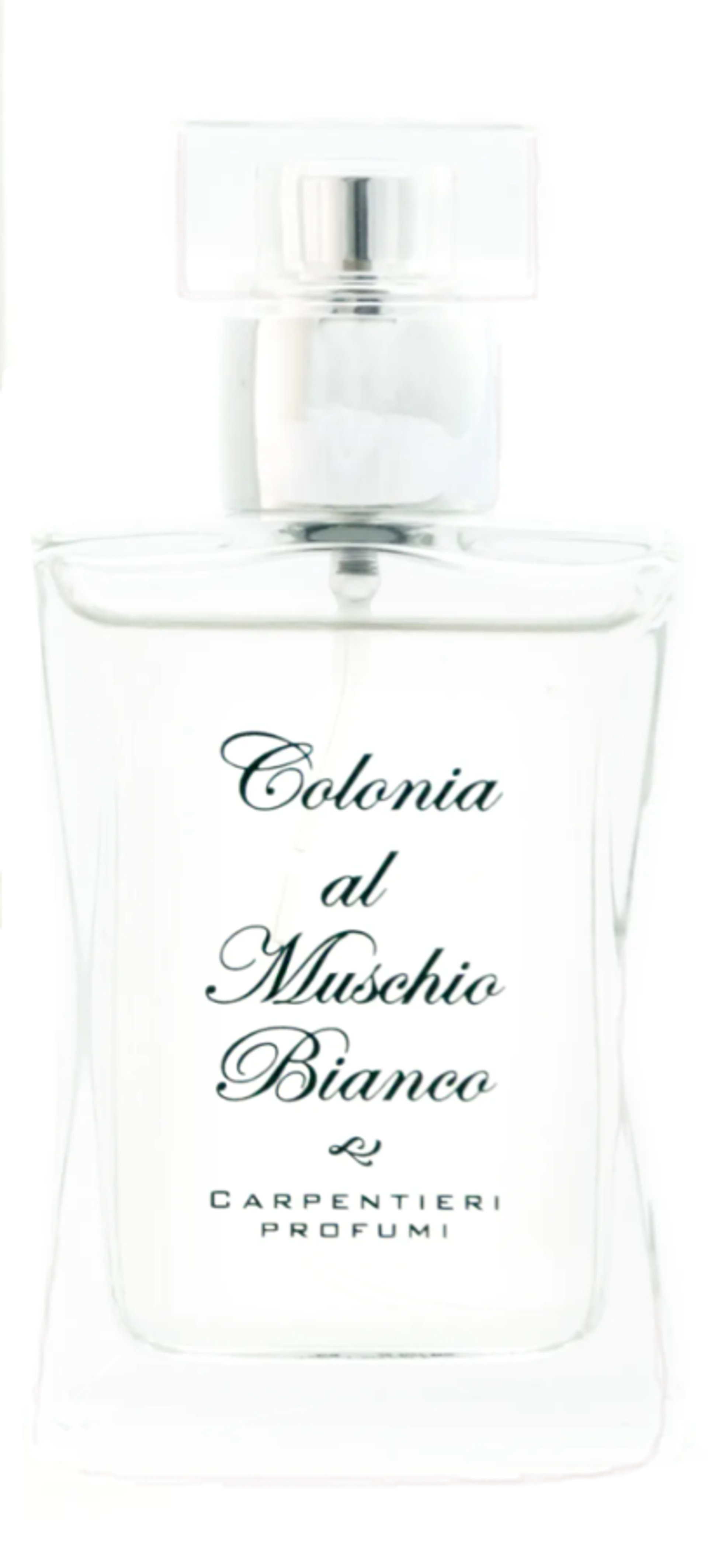 Picture of Muschio Bianco fragrance