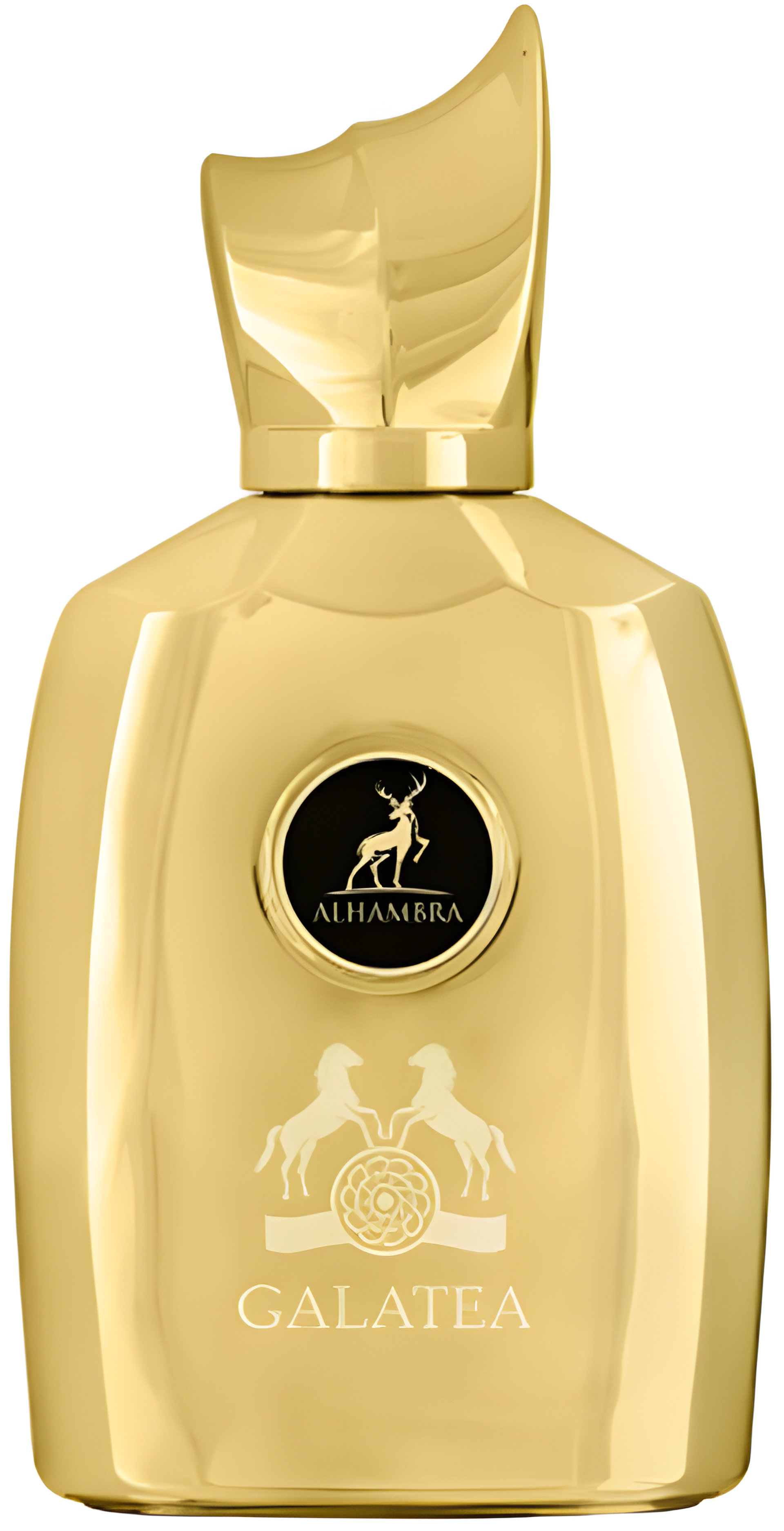 Picture of Galatea fragrance