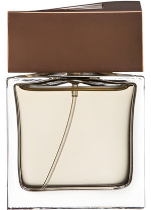 Brioni Man Eau de Parfum by Brioni perfume bottle