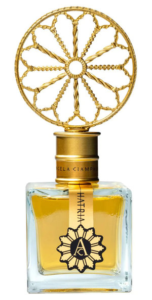 Vis by Angela Ciampagna perfume bottle