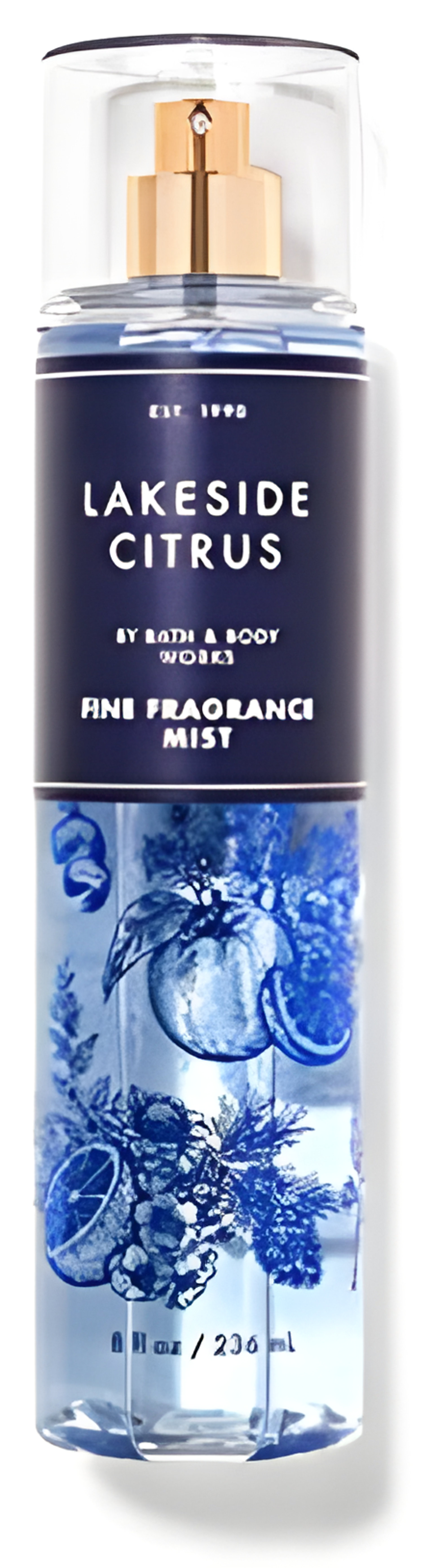 Picture of Lakeside Citrus fragrance