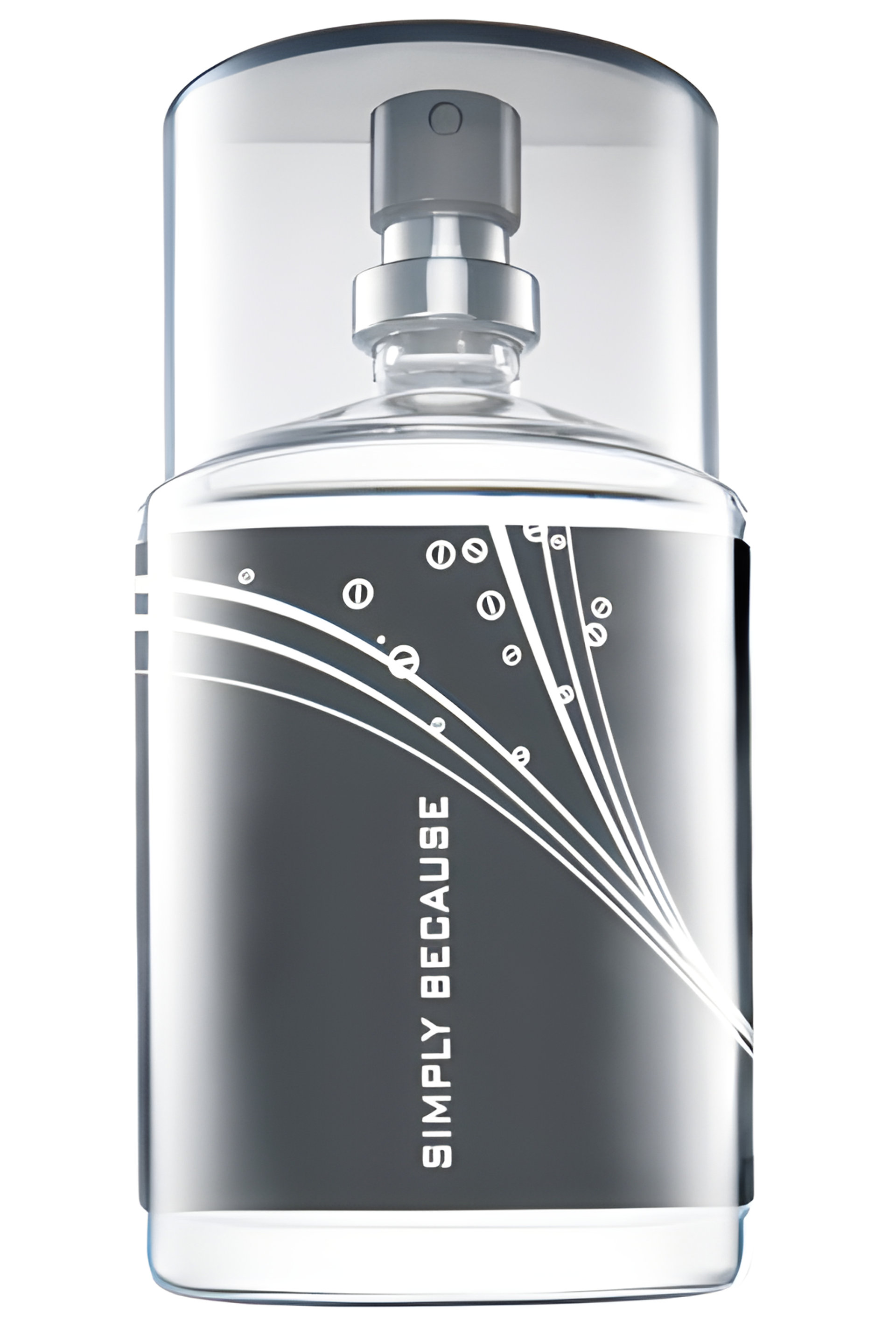 Picture of Simply Because for Him fragrance