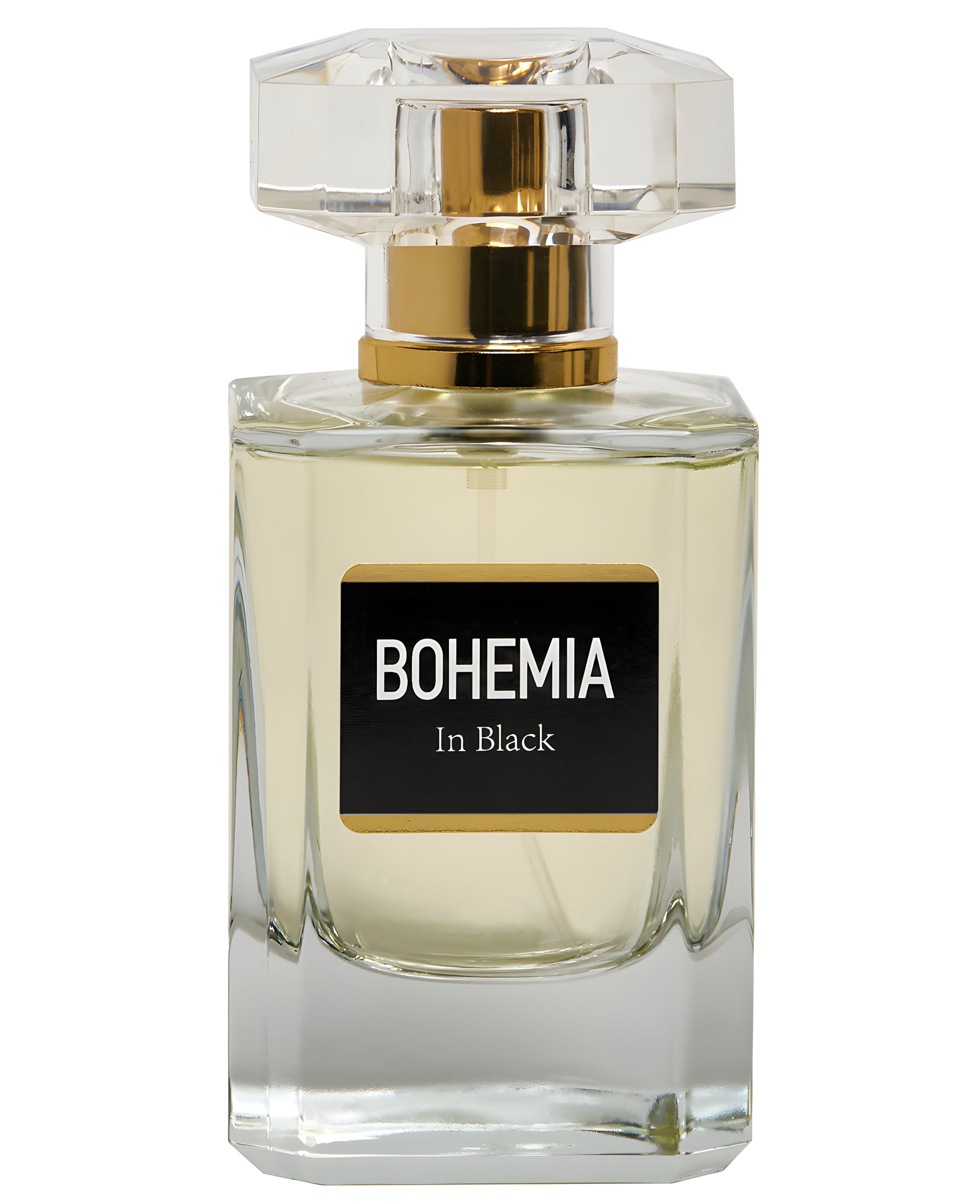 Picture of Bohemia in Black fragrance
