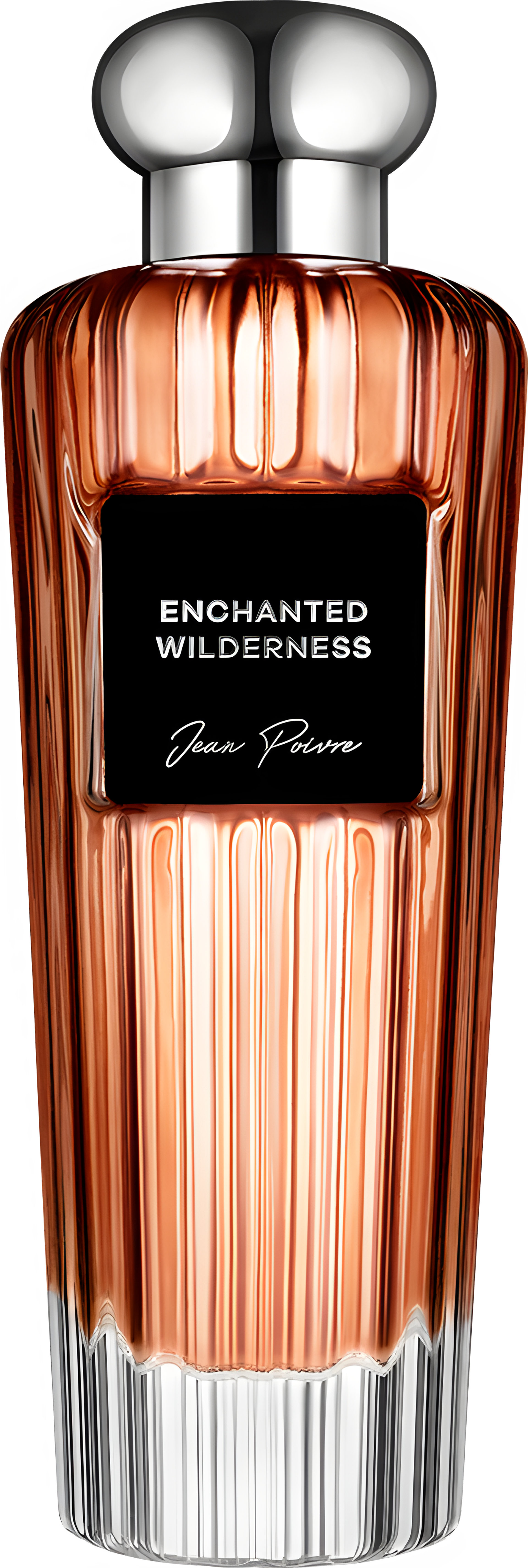 Picture of Enchanted Wilderness fragrance