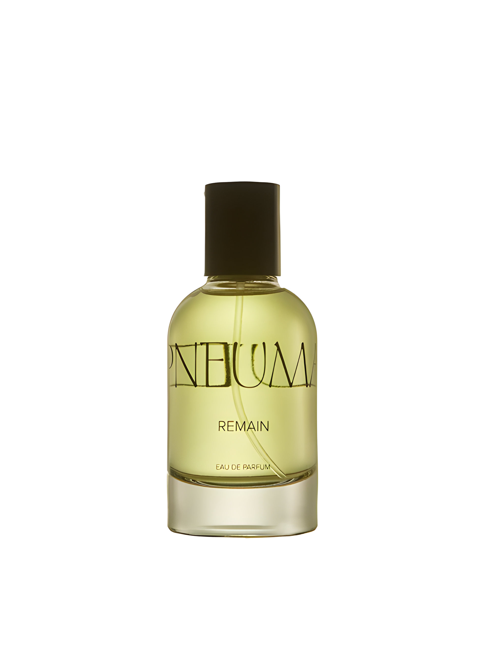 Picture of Remain fragrance