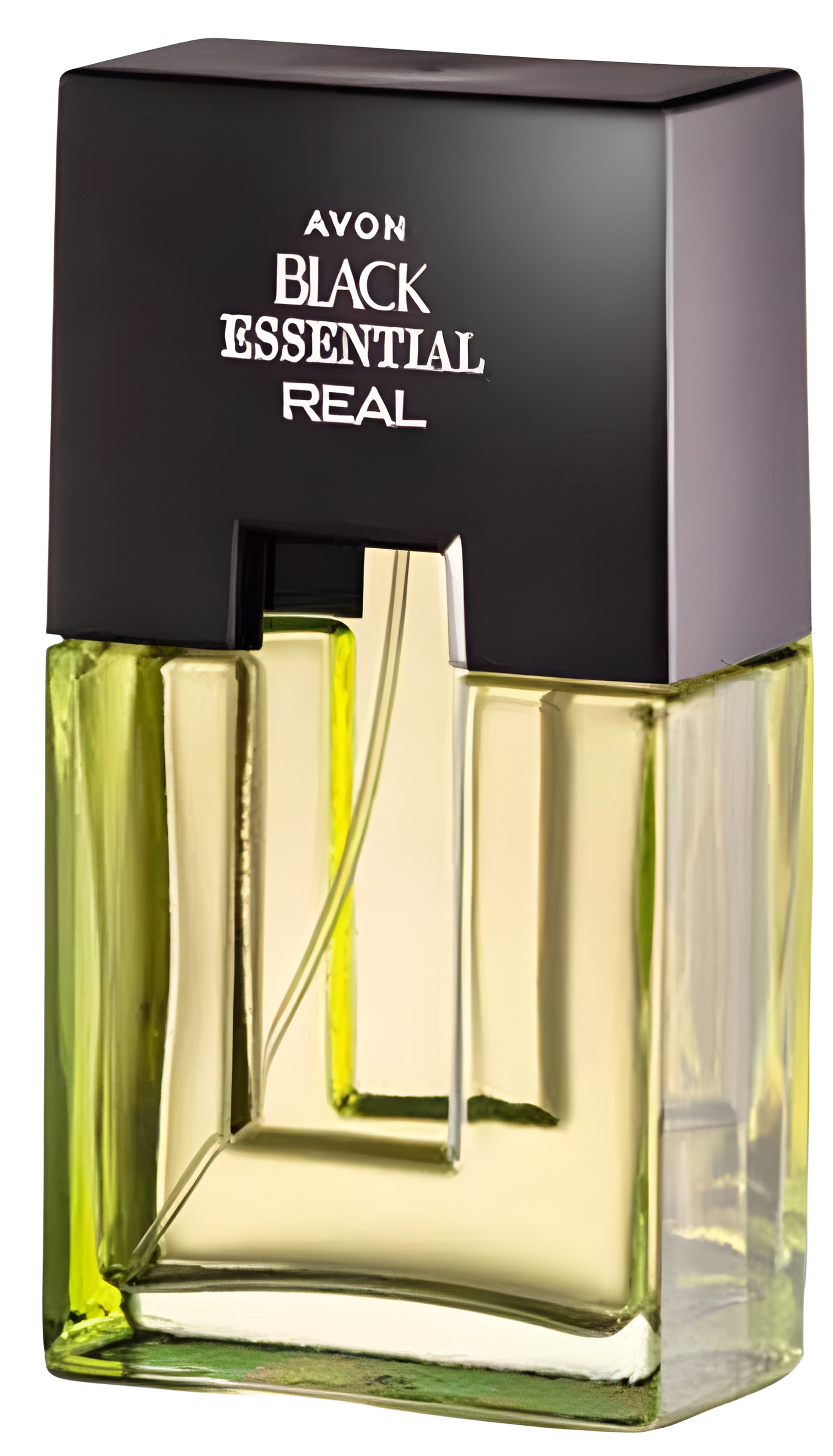Picture of Black Essential Real fragrance