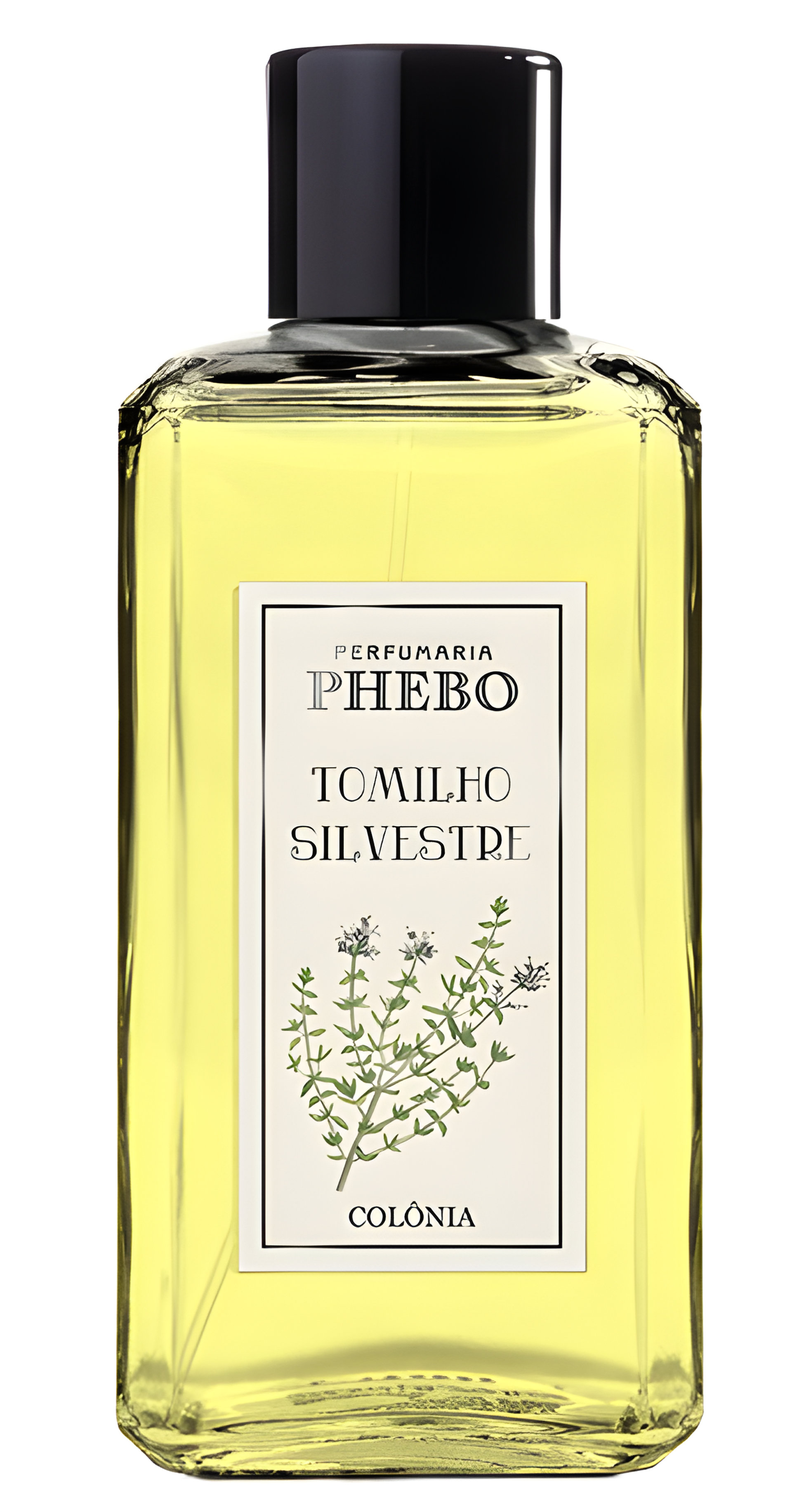 Picture of Tomilho Silvestre fragrance