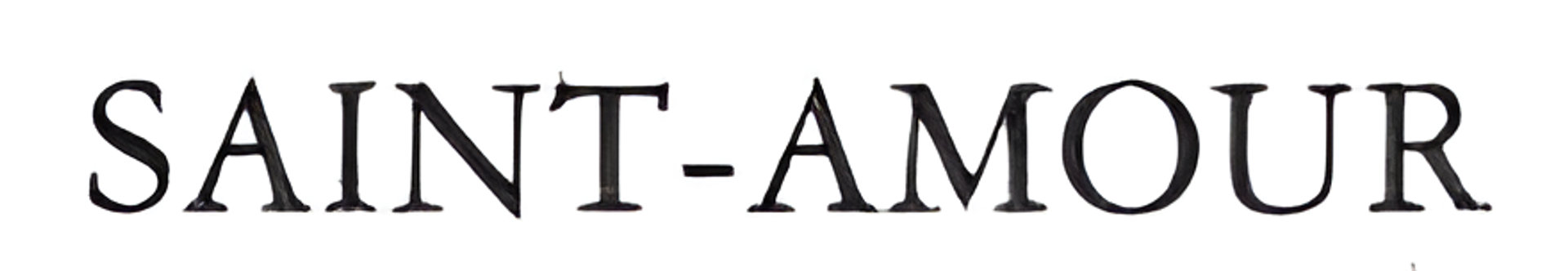Picture of Saint Amour brand